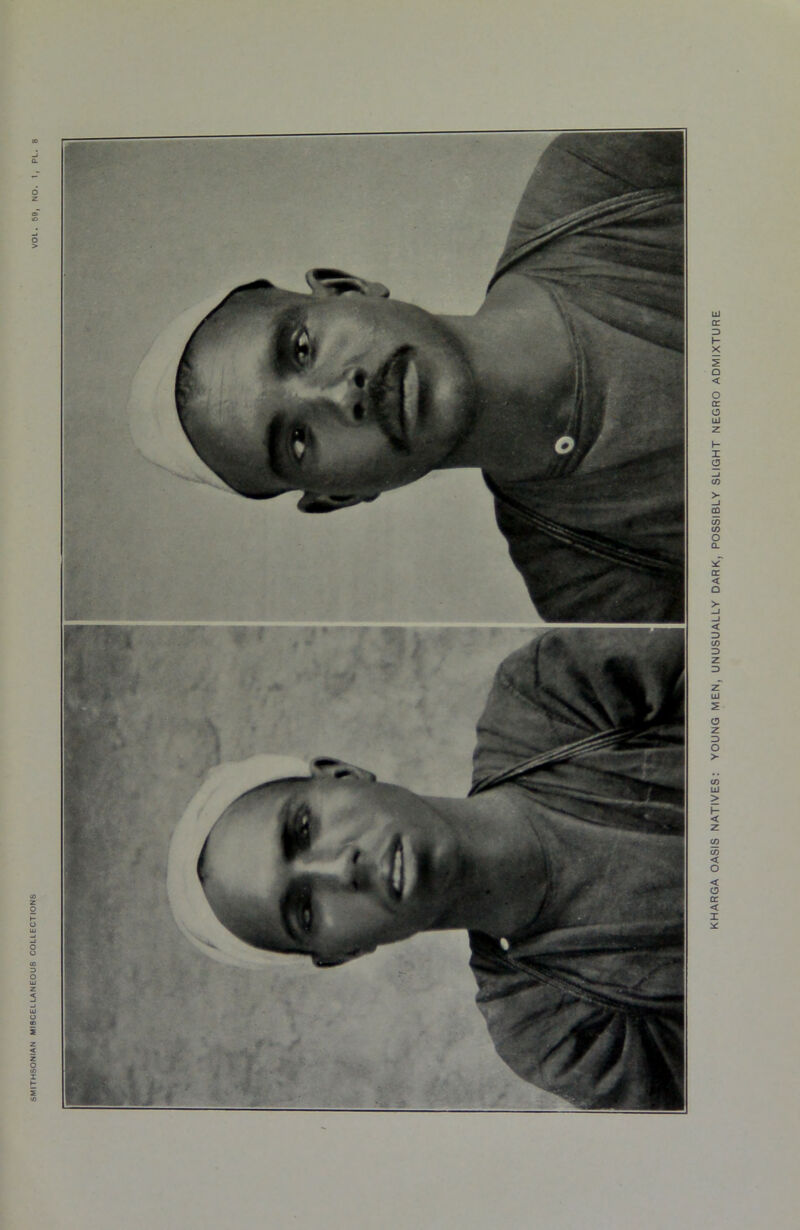 KHARGA OASIS NATIVES: YOUNG MEN, UNUSUALLY DARK, POSSIBLY SLIGHT NEGRO ADMIXTURE