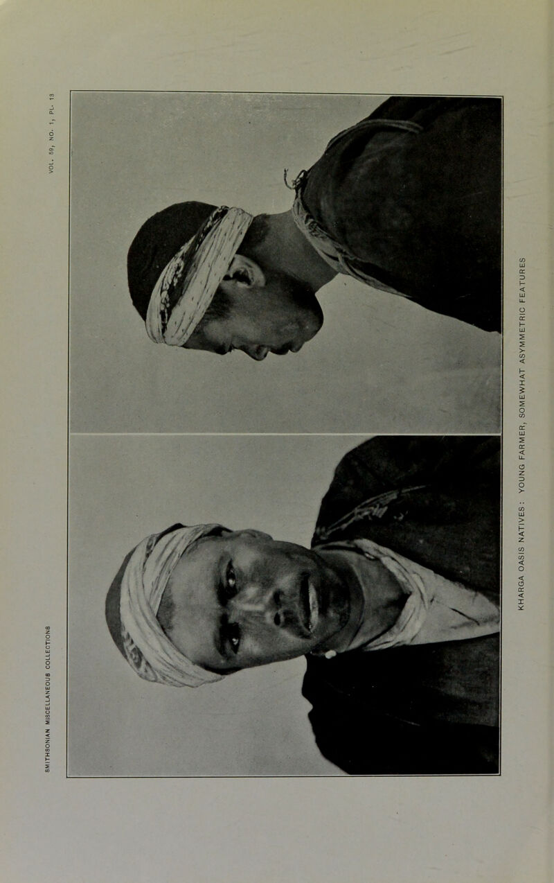 KHARGA OASIS NATIVES: YOUNG FARMER, SOMEWHAT ASYMMETRIC FEATURES