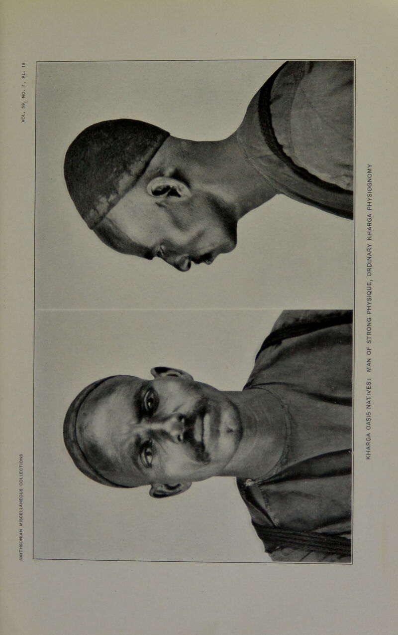 KHARGA OASIS NATIVES: MAN OF STRONG PHYSIQUE, ORDINARY KHARGA PHYSIOGNOMY