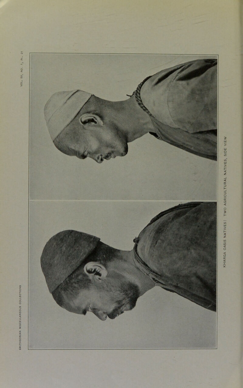 KHARGA OASIS NATIVES! TWO AGRICULTURAL NATIVES, SIDE VIEW