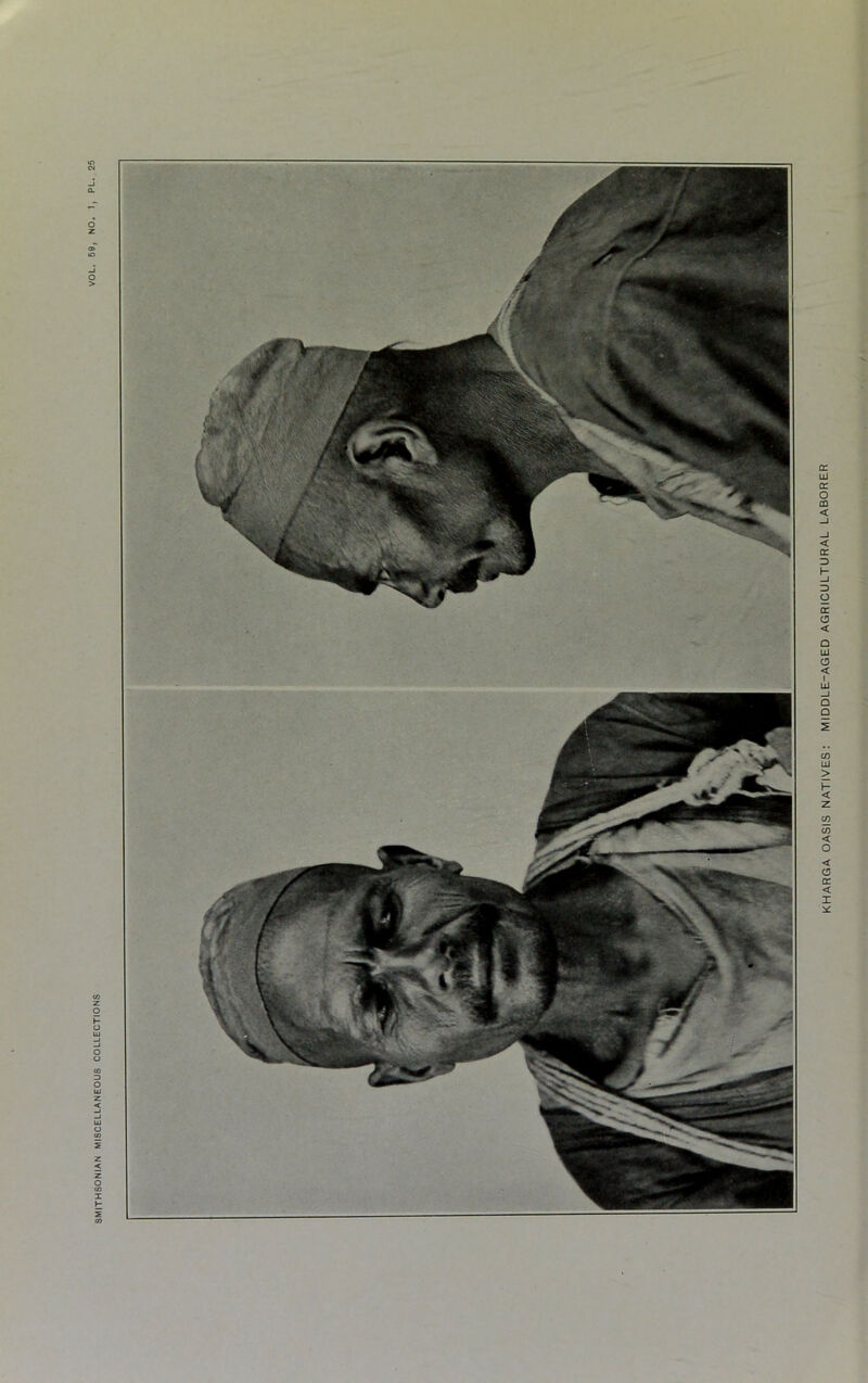 KHARGA OASIS NATIVES: MIDDLE-AGED AGRICULTURAL LABORER