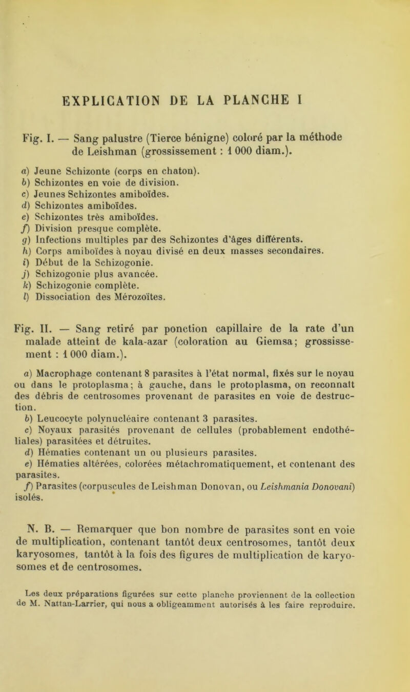 EXPLICATION DE LA PLANCHE I Fig. I. — Sang palustre (Tierce bénigne) coloré par la méthode de Leishman (grossissement : 1 000 diam.). a) Jeune Schizonte (corps en chaton). b) Schizontes en voie de division. c) Jeunes Schizontes amiboïdes. d) Schizontes amiboïdes. e) Schizontes très amiboïdes. f) Division presque complète. g) Infections multiples par des Schizontes d’âges différents. Ii) Corps amiboïdes à noyau divisé en deux masses secondaires. i) Début de la Schizogonie. j) Schizogonie plus avancée. k) Schizogonie complète. l) Dissociation des Mérozoïtes. Fig. II. — Sang retiré par ponction capillaire de la rate d’un malade atteint de kala-azar (coloration au Giemsa; grossisse- ment : 1 000 diam.). а) Macrophage contenant 8 parasites à l’état normal, Axés sur le noyau ou dans le protoplasma; à gauche, dans le protoplasma, on reconnaît des débris de centrosomes provenant de parasites en voie de destruc- tion. б) Leucocyte polynucléaire contenant 3 parasites. c) Noyaux parasités provenant de cellules (probablement endothé- liales) parasitées et détruites. d) Hématies contenant un ou plusieurs parasites. e) Hématies altérées, colorées métachromatiquement, et contenant des parasites. /) Parasites (corpuscules de Leishman Donovan, ou Leishmania Donovani) isolés. N. B. — Remarquer que bon nombre de parasites sont en voie de multiplication, contenant tantôt deux centrosomes, tantôt deux karyosomes, tantôt à la fois des figures de multiplication de karyo- somes et de centrosomes. Les deux préparations figurées sur cette planche proviennent de la collection