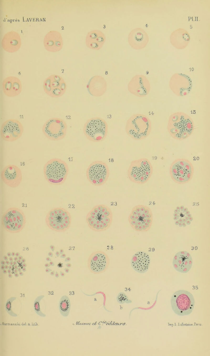 il'aprés l.AVKRAN 2 3 V *• PI.IL 6 7 8 ,*1 V 9 10 '11 15 21 22 2 4 • •* 30 I 31 32 33 34 b 35 • Karm&nski del.& lith. if assort e£' C ! eptA/cur ’S. Imp.L Lafontaine .Tans
