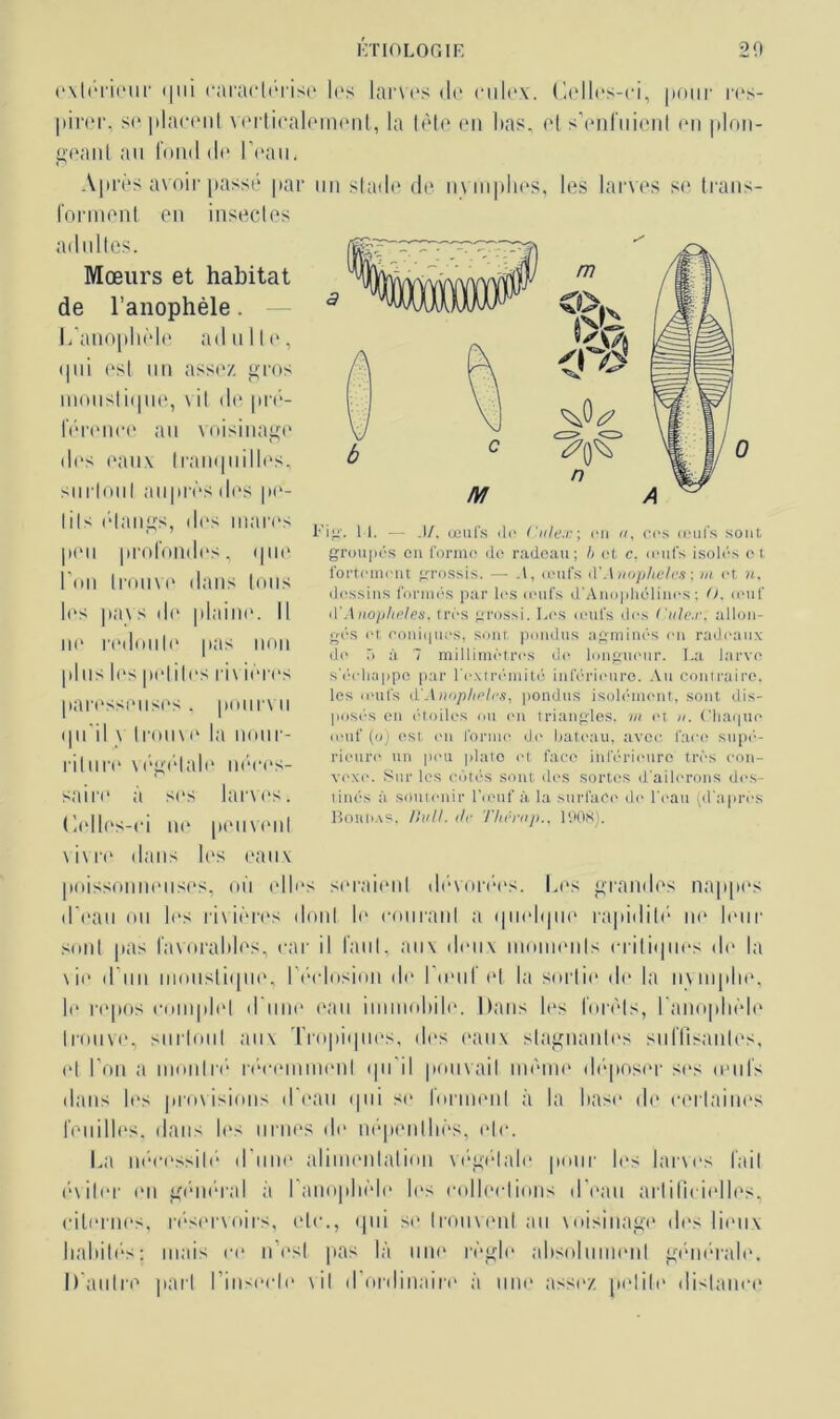 extérieur qui caractérisé les larves de cnlex. Celles-ci, pour res- pirer, se placent verticalement, la lète en lias, et s'enfuient en plon- geant au tond de l’eau. Après avoir passé par un stade de nymphes, les larves se trans- forment en insectes adultes. Mœurs et habitat de l’anophèle. L’anophèle ad u Ile, «pii est un assez gros moustique, vil de pré- férence au voisinage des eaux tranquilles, surtout auprès des pe- tits étangs, des mares peu profondes, «pie l’on trouve dans tous les pavs de plaine. Il 1 k* redoute pas non plus les petites riv ières paresseuses . pourvu qu'il v trouve la nour- rit un1 végétale néces- saire à ses larves. Celles-ci ne peuvent vivre dans les eaux Fi. 11. — ,)/. œufs do Cnlex; on a, cos œufs soûl groupés en forme de radeau; b et c. œufs isolés et fortement grossis. —■ .1, œufs d'Anopheles ; ni et n. dessins formés par les œufs d'Anophélinos ; (J. œuf lYAnopheles. très grossi. Les œufs des Cule.r, allon- gés et coniques, sont pondus agminés en radeaux de 5 à 7 millimètres de longueur. La larve s'échappe par l'extrémité inférieure. Au contraire, les œufs (l'Anophèles, pondus isolément, sont dis- posés en étoiles ou on triangles, m et n. Chaque œuf (o) est en forme de bateau, avec face supé- rieure un peu plate et face inférieure très con- vexe. Sur les côtés sont des sortes d'ailerons des- tinés à soutenir l’œuf à la surface de l'eau (d’après Boudas, Pull. de l'hérnp., 1908). poissonneuses, où elles seraient dévorées. Les grandes nappes d’eau ou les litières dont le courant a quelque rapidité ne leur smil pas favorables, car il faut, aux deux moments critiques de la tic d’un moustique, I éclosion de I <eu! et la sortit1 de la iiMiiplie, le repos complet d une eau immobile. Dans les forets, l’anophèle trouve, surtout aux Tropiques, des eaux stagnantes suffisantes, et l’on a montré récemment qu'il pouvait même déposer ses œufs dans les provisions d’eau qui si1 forment à la base de certaines feuilles, dans les urnes de népenlbès, etc. La nécessité d’une alimentation végétale pour les larves lait éxiler en général à l’anophèle les collections d’eau artificielles, citernes, réservoirs, etc., qui se trouvent au voisinage des lieux habités; mais ce n’est pas là une règle absolument générale. D’autre part l'insecte vil d’ordinaire à une assez petite distance