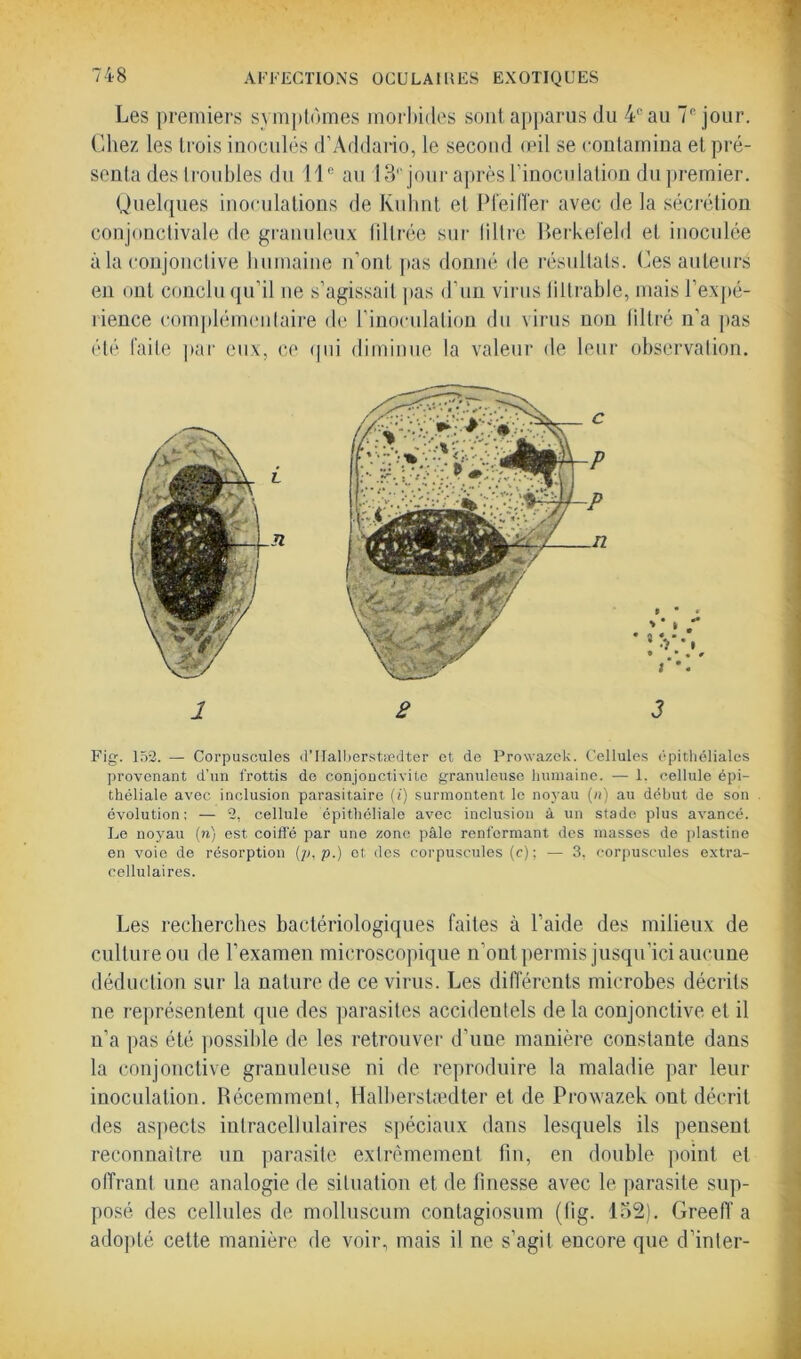 Les premiers symptômes morbides sont apparus du 4e au 7° jour. Chez les trois inoculés d’Addario, le second œil se contamina et pré- senta des troubles du 11° au 131' jour après l’inoculation du premier. Quelques inoculations de Kuhnt et Pfeiffer avec de la sécrétion conjonctivale de granuleux filtrée sur liltre Berkefeld et inoculée à la conjonctive humaine n’ont pas donné de résultats. Ces auteurs en ont conclu qu’il ne s’agissait pas d’un virus liltrable, mais l'expé- rience complémentaire de l’inoculation du virus non filtré n’a pas été faite par eux, ce qui diminue la valeur de leur observation. 12 3 Fig. 1 52. — Corpuscules d’IIalberstædter et de Prowazek. Cellules épithéliales provenant d’un frottis de conjonctivite granuleuse humaine. — 1. cellule épi- théliale avec inclusion parasitaire (i) surmontent le noyau («) au début de son évolution: — 2, cellule épithéliale avec inclusion à un stade plus avancé. Le noyau (n) est coiffé par une zone pâle renfermant des masses de plastine en voie de résorption (p, p.) et des corpuscules (c) ; — 3, corpuscules extra- cellulaires. Les recherches bactériologiques faites à l’aide des milieux de culture ou de l’examen microscopique n’ont permis jusqu’ici aucune déduction sur la nature de ce virus. Les différents microbes décrits ne représentent que des parasites accidentels de la conjonctive et il n’a pas été possible de les retrouver d’une manière constante dans la conjonctive granuleuse ni de reproduire la maladie par leur inoculation. Récemment, Halberstædter et de Prowazek ont décrit des aspects intracellulaires spéciaux dans lesquels ils pensent reconnaître un parasite extrêmement fin, en double point et offrant une analogie de situation et de finesse avec le parasite sup- posé des cellules de molluscum contagiosum (fig. 152). Greeff a adopté cette manière de voir, mais il ne s’agit encore que d’inter-