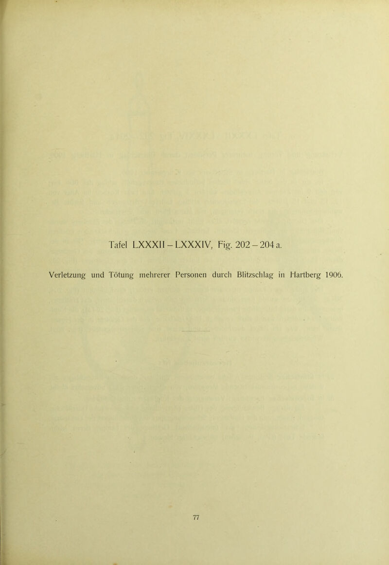 Tafel LXXXII - LXXXIV, Fig. 202 - 204 a. Verletzung und Tötung mehrerer Personen durch Blitzschlag in Hartberg 1906.