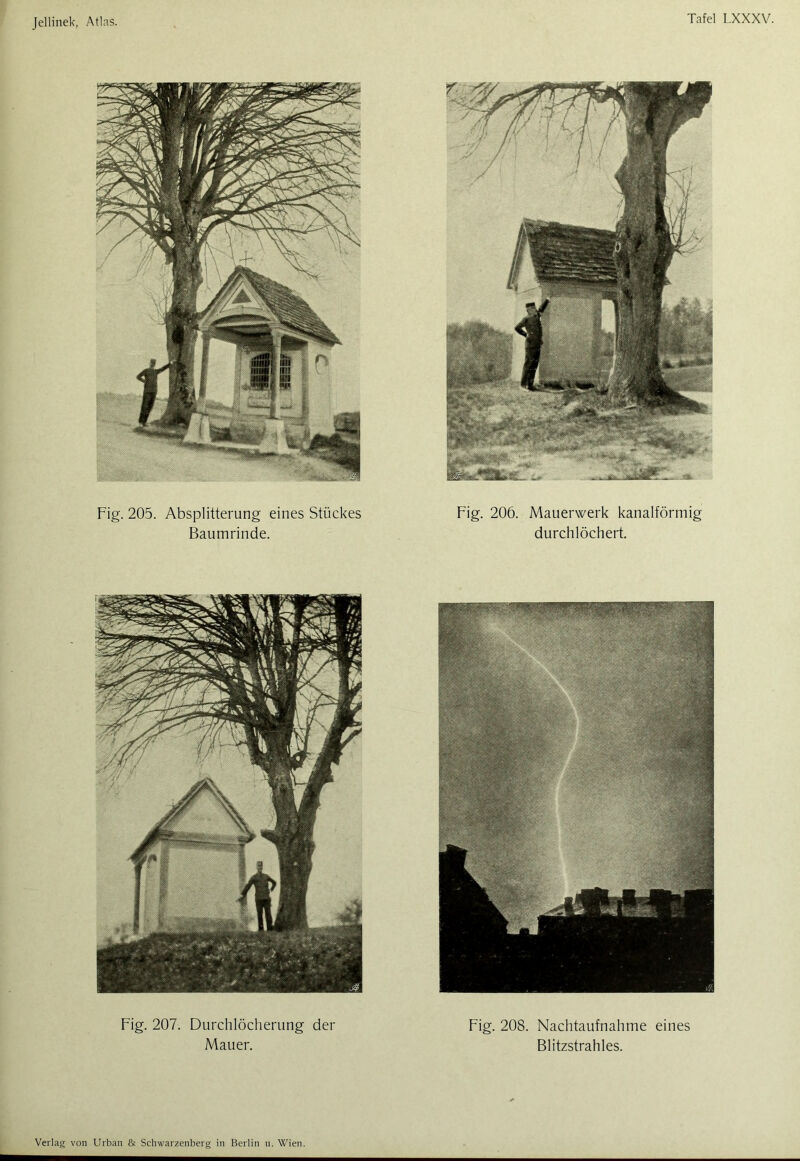 Fig. 205. Absplitterung eines Stückes Baumrinde. Fig. 206. Mauerwerk kanalförmig durchlöchert. Fig. 207. Durchlöcherung der Mauer. Fig. 208. Nachtaufnahme eines Blitzstrahles.