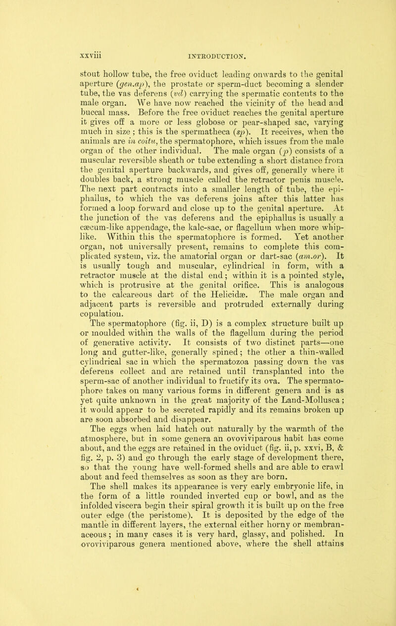 stout hollow tube, the free oviduct leading onwards to the genital aperture (gen.ap), the prostate or sperm-duct becoming a slender tube, the vas deferens (ycl) carrying the spermatic contents to the male organ. We have now reached the vicinity of the head and buccal mass. Before the free oviduct reaches the genital aperture it gives oft a more or less globose or pear-shaped sac, varying much in size ; this is the spennatheca (sp). It receives, when the animals are in coitu, the spennatophore, which issues from the male organ of the other individual. The male organ (y>) consists of a muscular reversible sheath or tube extending a short distance from the genital aperture backwards, and gives oft, generally where it doubles back, a strong muscle called the retractor penis muscle. The next part contracts into a smaller length of tube, the epi- phallus, to which the vas deferens joins after this latter has formed a loop forward and close up to the genital aperture. At the junction of the vas deferens and the epiphallus is usually a caecum-like appendage, the kalc-sac, or flagellum when more whip- like. Within this the spermatophore is formed. Yet another organ, not universally present, remains to complete this com- plicated system, viz. the amatorial organ or dart-sac (am.or). It is usually tough and muscular, cylindrical in form, with a retractor muscle at the distal end; within it is a pointed style, which is protrusive at the genital orifice. This is analogous to the calcareous dart of the Helicidse. The male organ and adjacent parts is reversible and protruded externally during copulation. The spermatophore (fig. ii, D) is a complex structure built up or moulded within the walls of the flagellum during the period of generative activity. It consists of two distinct parts—one long and gutter-like, generally spined; the other a thin-walled cylindrical sac in which the spermatozoa passing down the vas deferens collect and are retained until transplanted into the sperm-sac of another individual to fructify its ova. The spermato- phore takes on many various forms in different genera and is as yet quite unknown in the great majority of the Land-Mollusca; it would appear to be secreted rapidly and its remains broken up are soon absorbed and disappear. The eggs when laid hatch out naturally by the warmth of the atmosphere, but in some genera an ovoviviparous habit has come about, and the eggs are retained in the oviduct (fig. ii, p. xxvi, B, & fig. 2, p. 3) and go through the early stage of development there, so that the young have well-formed shells and are able to crawl about and feed themselves as soon as they are born. The shell makes its appearance is very early embryonic life, in the form of a little rounded inverted cup or bowl, and as the infolded viscera begin their spiral growth it is built up on the free outer edge (the peristome). It is deposited by the edge of the mantle in different layers, the external either horny or membran- aceous ; in many cases it is very hard, glassy, and polished. In ovoviviparous genera mentioned above, where the shell attains