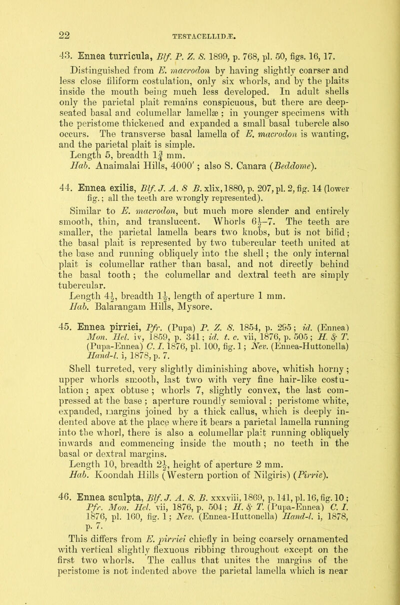 43. Ennea turricula, Blf. P. Z. S. 1899, p. 768, pi. 50, figs. 16,17. Distinguished from E. macroclon by having slightly coarser and less close filiform costulation, only six whorls, and by the plaits inside the mouth being much less developed. In adult shells only the parietal plait remains conspicuous, hut there are deep- seated basal and columellar lamellae ; in younger specimens with the peristome thickened and expanded a small basal tubercle also occurs. The transverse basal lamella of E. macrodon is wanting, and the parietal plait is simple. Length 5, breadth 1| mm. Hab. Anaimalai Hills, 4000'; also S. Canara (Beddome). 44. Ennea exilis, Blf. J. A. S B. xlix, 1880, p. 207, pi. 2, fig. 14 (lower fig.; all the teeth are wrongly represented). Similar to E. macrodon, but much more slender and entirely smooth, thin, and translucent. Whorls 6|-7. The teeth are smaller, the parietal lamella bears two knobs, but is not bifid; the basal plait is represented by two tubercular teeth united at the base and runniug obliquely into the shell; the only internal plait is columellar rather than basal, and not directly behind the basal tooth; the columellar and dextral teeth are simply tubercular. Length 4^, breadth 1^, length of aperture 1 mm. Hab. Balarangam Hills, Mysore. 45. Ennea pirriei, Pfr. (Pupa) P. Z. S. 1854, p. 295; id. (Ennea) Mon. Ilel. iv, 1859, p. 341; id. t. c. vii, 1876, p. 505 ; H. 8f T. (Pupa-Ennea) C. 1.1876, pi. 100, fig. 1; Nev. (Ennea-IIuttonella) Hand-l. i, 1878, p. 7. Shell turreted, very slightly diminishing above, whitish horny; upper whorls smooth, last two with very fine hair-like costu- lation ; apex obtuse ; whorls 7, slightly convex, the last com- pressed at the base ; aperture roundly semioval; peristome white, expanded, margins joined by a thick callus, which is deeply in- dented above at the place where it bears a parietal lamella running into the whorl, there is also a columellar plait running obliquely inwards and commencing inside the mouth; no teeth in the basal or dextral margins. Length 10, breadth 2-1, height of aperture 2 mm. Hab. Koondah Hills (Western portion of Nilgiris) (Pirrie). 46. Ennea sculpta, Blf. J. A. S. B. xxxviii, 1869, p. 141, pi. 16, fig. 10 ; Pfr. Mon. Hel. vii, 1876, p. 504; H. 8f T. (Pupa-Ennea) C. I. 1876, pi. 160, fig. 1; Nev. (Ennea-Huttonella) Hand-l. i, 1878, P-7. This differs from E. pirriei chiefly in being coarsely ornamented with vertical slightly flexuous ribbing throughout except on the first two whorls. The callus that unites the margins of the peristome is not indented above the parietal lamella which is near