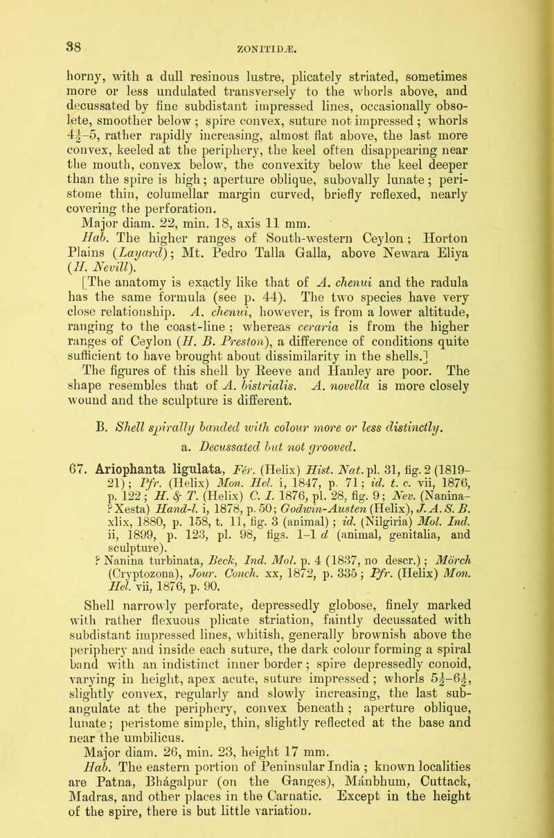 horny, with a dull resinous lustre, plicately striated, sometimes more or less undulated transversely to the whorls above, and decussated by fine subdistant impressed lines, occasionally obso- lete, smoother below ; spire convex, suture not impressed ; whorls 4|-5, rather rapidly increasing, almost flat above, the last more convex, keeled at the periphery, the keel often disappearing near the mouth, convex below, the convexity below the keel deeper than the spire is high; aperture oblique, subovally lunate; peri- stome thin, columellar margin curved, briefly reflexed, nearly covering the perforation. Major diam. 22, min. 18, axis 11 mm. Hab. The higher ranges of South-western Ceylon; Horton Plains (Laycircl); Mt. Pedro Talla Galla, above Newara Eliya (H. Nevill). [The anatomy is exactly like that of A. chenni and the radula has the same formula (see p. 44). The two species have very close relationship. A. chenui, however, is from a lower altitude, ranging to the coast-line ; whereas ceraria is from the higher ranges of Ceylon (.II. B. Preston), a difference of conditions quite sufficient to have brought about dissimilarity in the shells.] The figures of this shell by Beeve and Hanley are poor. The shape resembles that of A. bistrialis. A. novella is more closely wound and the sculpture is different. B. Shell spirally banded with colour more or less distinctly. a. Decussated but not grooved. 67. Ariophanta ligulata, Per. (Helix) Hist. Nat. pi. 31, fig. 2 (1819- 21); Pfr. (Helix) Mon. Hel. i, 1847, p. 71; id. t. c. vii, 1876, p. 122 ; H. 8f T. (Helix) C. I. 1876, pi. 28, fig. 9; Nev. (Nanina- ? Xesta) Hand-l. i, 1878, p. 50; Godwin-Austen (Helix), J. A. S. B. xlix, 1880, p. 158, t. 11, fig. 3 (animal) ; id. (Nilgiria) Mol. Ind. ii, 1899, p. 123, pi. 98, figs. 1-1 d (animal, genitalia, and sculpture). ? Nanina turbinata, Beck, Ind. Mol. p. 4 (1837, no descr.); March (Cryptozona), Jour. Conch, xx, 1872, p. 335 ; Pfr. (Helix) Mon. Hel. vii, 1876, p. 90. Shell narrowly perforate, depressedly globose, finely marked with rather flexuous plicate striation, faintly decussated with subdistant impressed lines, whitish, generally brownish above the periphery and inside each suture, the dark colour forming a spiral band with an indistinct inner border; spire depressedly conoid, varying in height, apex acute, suture impressed ; whorls 5|-6|, slightly convex, regularly and slowly increasing, the last sub- angulate at the periphery, convex beneath; aperture oblique, lunate; peristome simple, thin, slightly reflected at the base and near the umbilicus. Major diam. 26, min. 23, height 17 mm. Hab. The eastern portion of Peninsular India ; known localities are Patna, Bhagalpur (on the Ganges), Manbhum, Cuttack, Madras, and other places in the Carnatic. Except in the height of the spire, there is but little variation.