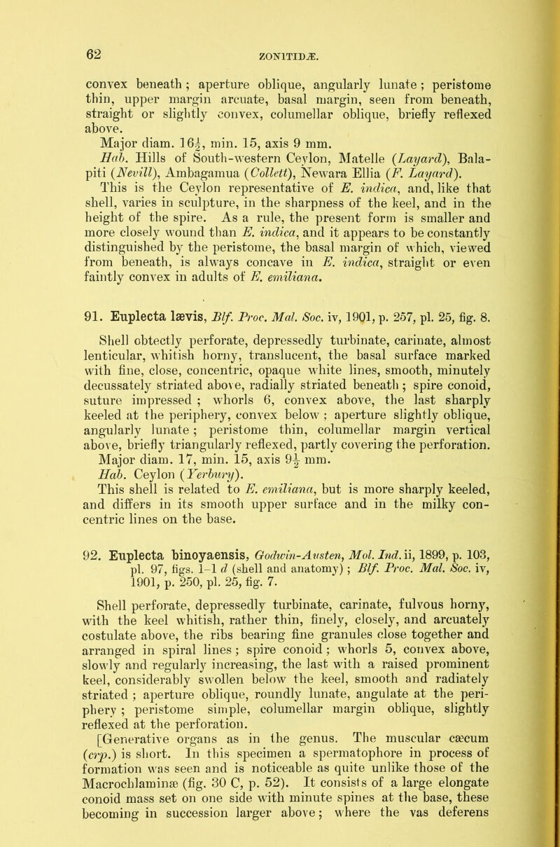 convex beneath ; aperture oblique, angularly lunate ; peristome thin, upper margin arcuate, basal margin, seen from beneath, straight or slightly convex, columellar oblique, briefly reflexed above. Major cliam. 164, min. 15, axis 9 mm. Hab. Hills of South-western Ceylon, Matelle (Layarcl), Bala- piti (Nevill), Ambagamua {Collett), Newara Elba {F. Laycird). This is the Ceylon representative of E. inclica, and, like that shell, varies in sculpture, in the sharpness of the keel, and in the height of the spire. As a rule, the present form is smaller and more closely wound than E. inclica, and it appears to be constantly distinguished by the peristome, the basal margin of which, viewed from beneath, is always concave in E. indicci, straight or even faintly convex in adults of E. emilianci. 91. Enplecta lsevis, Elf. Proc. Mai. Soc. iv, 1901, p. 257, pi. 25, fig. 8. Shell obtectly perforate, depressedly turbinate, carinate, almost lenticular, whitish horny, translucent, the basal surface marked with fine, close, concentric, opaque white lines, smooth, minutely decussately striated above, radially striated beneath ; spire conoid, suture impressed ; whorls 6, convex above, the last sharply keeled at the periphery, convex below ; aperture slightly oblique, angularly lunate; peristome thin, columellar margin vertical above, briefly triangularly reflexed, partly covering the perforation. Major diam. 17, min. 15, axis 9-| mm. Hab. Ceylon {Yerbury). This shell is related to E. emilianci, but is more sharply keeled, and differs in its smooth upper surface and in the milky con- centric lines on the base. 92. Enplecta binoyaensis, Godwin-Austen, Mol. Ind. ii, 1899, p. 103, pi. 97, figs. 1-1 d (shell and anatomy) ; Blf. Proc. Mai. Soc. iv, 1901, p. 250, pi. 25, fig. 7. Shell perforate, depressedly turbinate, carinate, fulvous horny, with the keel whitish, rather thin, finely, closely, and arcuately costulate above, the ribs bearing fine granules close together and arranged in spiral lines; spire conoid; whorls 5, convex above, slowly and regularly increasing, the last with a raised prominent keel, considerably swollen below the keel, smooth and radiately striated ; aperture oblique, roundly lunate, angulate at the peri- phery ; peristome simple, columellar margin oblique, slightly reflexed at the perforation. [Generative organs as in the genus. The muscular ca?cum {crp.) is short. In this specimen a spermatophore in process of formation was seen and is noticeable as quite unlike those of the Macrochlaminse (fig. 30 C, p. 52). It consists of a large elongate conoid mass set on one side with minute spines at the base, these becoming in succession larger above; where the vas deferens