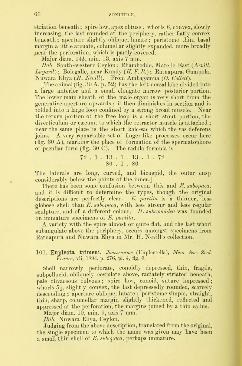 striation beneath ; spire low, apex obtuse ; whorls 6, convex, slowly- increasing, the last rounded at the periphery, rather flatly convex beneath; aperture slightly oblique, lunate ; peristome thin, basal margin a little arcuate, columellar slightly expanded, more broadly near the perforation, which is partly covered. Major diam. 14|, min. 13, axis 7 mm. Hab. South-western Ceylon; Ilhambodde, Matelle East (Nevill, Layard) ; Bolegalle, near Kandy (//. F. B.); Ratnapura, Gampola, Nuwara Eliya (H. Nevill). Erom Ambagamua (0. Collett). [The animal (tig. 30 A, p. 52) has the left dorsal lobe divided into a large anterior and a small elongate narrow posterior portion. The lower main sheath of the male organ is very short from the generative aperture upwards ; it then diminishes in section and is folded into a large loop confined by a strong broad muscle. Near the return portion of the free loop is a short stout portion, the diverticulum or caecum, to which the retractor muscle is attached ; near the same place is the short kalc-sac which the vas deferens joins. A very remarkable set of finger-like processes occur here (fig. 30 A), marking the place of formation of the spermatophore of peculiar form (fig. 30 C). The radula formula is 72 . 1 . 13 . 1 . 13 . 1 . 72 86 . 1 . 86 The laterals are long, curved, and bicuspid, the outer cusp considerably below the points of the inner.] There has been some confusion between this and E. subopaca, and it is difficult to determine the types, though the original descriptions are perfectly clear. E. partita is a thinner, less globose shell than E. subopaca, with less strong and less regular sculpture, and of a different colour. If. subconoidea was founded on immature specimens of E. partita. A variety with the spire almost or quite flat, and the last whorl subangulate above the periphery, occurs amongst specimens from Ratnapura and Nuwara Eliya in Mr. H. Nevill’s collection. 100. Euplecta trimeni, Jousseaume (Euplectella), Mem. Soc. Zool. France, vii, 1894, p. 276, pi. 4, fig. 5. Shell narrowly perforate, conoidly depressed, thin, fragile, subpellucid, obliquely costulate above, radiately striated beneath, pale olivaceous fulvous; spire low, conoid, suture impressed; whorls 5|, slightly convex, the last depressedly rounded, scarcely desceuding ; aperture oblique, lunate ; peristome simple, straight, thin, sharp, columellar margin slightly thickened, reflected and appressed at the perforation, the margins joined by a thin callus. Major diam. 10, min. 9, axis 7 mm. Hab. Nuwara Eliya, Ceylon. Judging from the above description, translated from the original, the single specimen to which the name was given may have been a small thin shell of E. subopaca, perhaps immature.