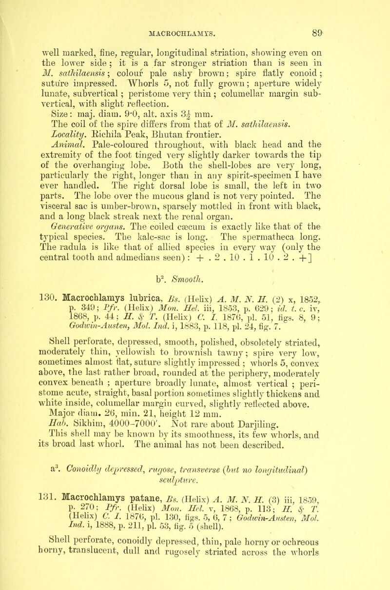 well marked, fine, regular, longitudinal striation, showing even on the lower side ; it is a far stronger striation than is seen in M. sathilaensis; colour pale ashy brown; spire flatly conoid; suture impressed. Whorls 5, not fully grown; aperture widely lunate, subvertical; peristome very thin ; columellar margin sub- vertical, with slight reflection. Size: maj. diam. 9'0, alt. axis 3| mm. The coil of the spire differs from that of M. sathilaensis. Locality. liichila Peak, Bhutan frontier. Animal. Pale-coloured throughout, with black head and the extremity of the foot tinged very slightly darker towards the tip of the overhanging lobe. Both the shell-lobes are very long, particularly the right, longer than in any spirit-specimen I have ever handled. The right dorsal lobe is small, the left in two parts. The lobe over the mucous gland is not very pointed. The visceral sac is umber-brown, sparsely mottled in front with black, and a long black streak next the renal organ. Generative organs. The coiled ccecum is exactly like that of the typical species. The kalc-sac is long. The spermatheca long. The raclula is like that of allied species in every way (only the central tooth and admedians seen) : -f . 2 . 10 . 1 . 10.2 . +] b2. Smooth. 130. Macrochlamys lubrica, Bs. (Helix) A. M. N. II. (2) x, 1852,. p. 349; Pfr. (Helix) Mon. Mel. iii, 1853, p. 629; id. t. c. iv, 1868, p. 44; H. 8f T. (Helix) C. I. 1876, pi. 51, figs. 8, 9; Godwin-Austen, Mol. Lid. i, 1883, p. 118, pi. 24, fig. 7. Shell perforate, depressed, smooth, polished, obsoletely striated, moderately thin, yellowish to brownish tawny; spire very low, sometimes almost flat, suture slightly impressed ; whorls 5, convex above, the last rather broad, rounded at the periphery, moderately convex beneath ; aperture broadly lunate, almost vertical ; peri- stome acute, straight, basal portion sometimes slightly thickens and white inside, columellar margin curved, slightly reflected above. Major diam. 26, min. 21, height 12 mm. Hah. Sikhim, 4000-7000'. Not rare about Darjiling. This shell may be known by its smoothness, its few whorls, and its broad last whorl. The animal has not been described. a3. Conoidly depressed’, rugose, transverse (hut no longitudinal) sculpture. 131. Macrochlamys patane, Bs. (Helix) A. M. N. II. (3) iii, 1859, p. 270; Pfr. (Helix) Mon. Mel. v, 1868, p. 113; II. $ T. (Helix) C. I. 1876, pi. 130, figs. 5, 6, 7 ; Godwin-Austen, Mol, Ind. i, 1888, p. 211, pi. 53, tig. 5 (shell). Shell perforate, conoidly depressed, thin, pale horny or ochreous horny, translucent, dull and rugosely striated across the whorls