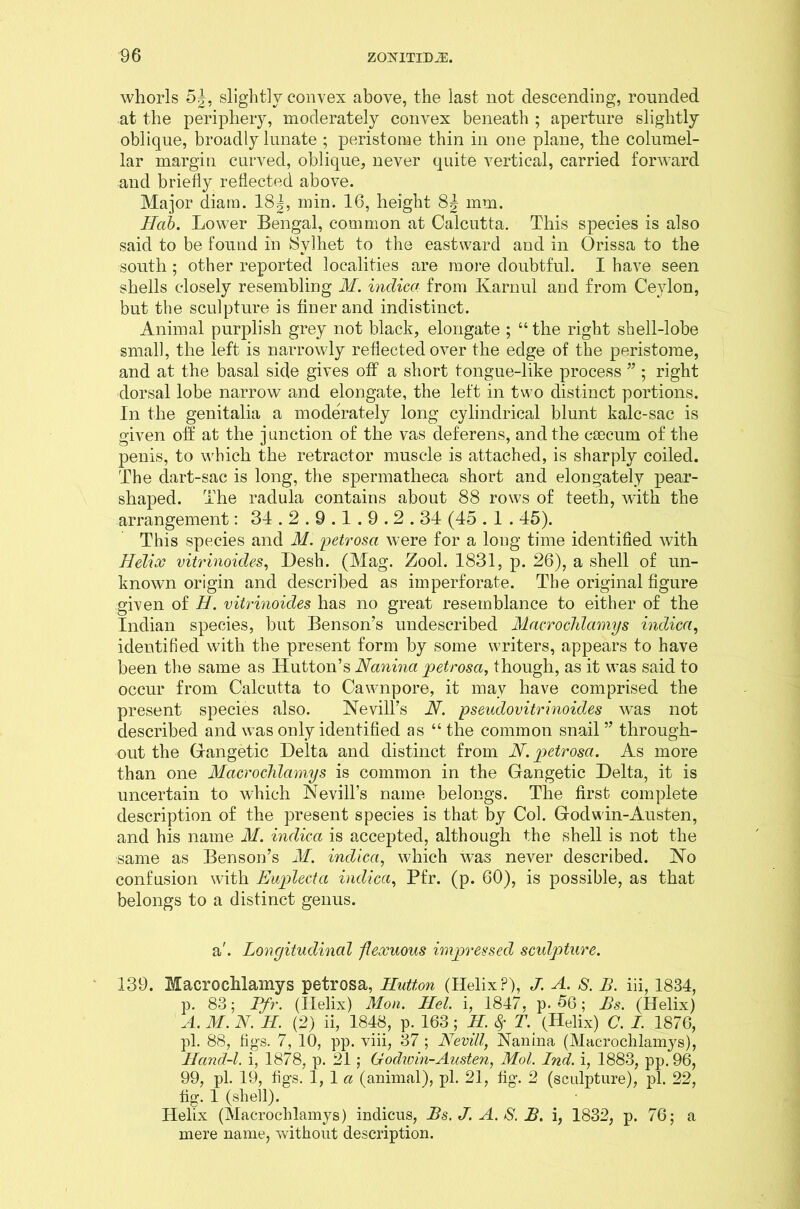 whorls 5|, slightly convex above, the last not descending, rounded at the periphery, moderately convex beneath ; aperture slightly oblique, broadly lunate ; peristome thin in one plane, the columel- lar margin curved, oblique, never quite vertical, carried forward and briefly reflected above. Major diam. 18|, min. 16, height 84 mm. Hah. Lower Bengal, common at Calcutta. This species is also said to be found in JSylhet to the eastward and in Orissa to the south ; other reported localities are more doubtful. I have seen shells closely resembling M. inclica from Ivarnul and from Ceylon, but the sculpture is huer and indistinct. Animal purplish grey not black, elongate ; “the right shell-lobe small, the left is narrowly reflected over the edge of the peristome, and at the basal side gives off a short tongue-like process ” ; right dorsal lobe narrow and elongate, the left in two distinct portions. In the genitalia a moderately long cylindrical blunt kalc-sac is given off at the junction of the vas deferens, and the caecum of the penis, to which the retractor muscle is attached, is sharply coiled. The dart-sac is long, the spermatheca short and elongately pear- shaped. The radula contains about 88 rows of teeth, with the arrangement: 34.2.9.1.9.2.34 (45.1.45). This species and M. petrosa were for a long time identified with Helix vitrinoides, Desh. (Mag. Zool. 1831, p. 26), a shell of un- known origin and described as imperforate. The original figure given of H. vitrinoides has no great resemblance to either of the Indian species, but Benson’s undescribed Maerochlamys indica, identified with the present form by some writers, appears to have been the same as Hutton’s Nanina petrosa, though, as it was said to occur from Calcutta to Cawnpore, it may have comprised the present species also. Nevill’s N. pseudovitrinoides was not described and was only identified as “ the common snail ” through- out the Gangetic Delta and distinct from N. petrosa. As more than one Maerochlamys is common in the Gangetic Delta, it is uncertain to which Nevill’s name belongs. The first complete description of the present species is that by Col. Godwin-Austen, and his name M. indica is accepted, although the shell is not the same as Benson’s M. indica, which was never described. No confusion with Euplecta indica, Pfr. (p. 60), is possible, as that belongs to a distinct genus. a'. Longitudinal flexuous impressed sculpture. 139. Maerochlamys petrosa, Hutton (Helix P), J. A. 8. B. iii, 1834, p. 83; Pfr. (Helix) Mon. Hel. i, 1847, p. 56; Bs. (Helix) A.M.N.IL (2) ii, 1848, p;163; H. $ T. (Helix) C. I. 1876, pi. 88, figs. 7, 10, pp. viii, 37 ; Nevill, Nanina (Maerochlamys), Hand-l. i, 1878, p. 21 ; Godwin-Austen, Mol. Ind. i, 1883, pp. 96, 99, pi. 19, figs. 1, 1 a (animal), pi. 21, fig. 2 (sculpture), pi. 22, fig. 1 (shell). Helix (Maerochlamys) indicus, Bs.J.A.S.B. i, 1832, p. 76; a mere name, without description.