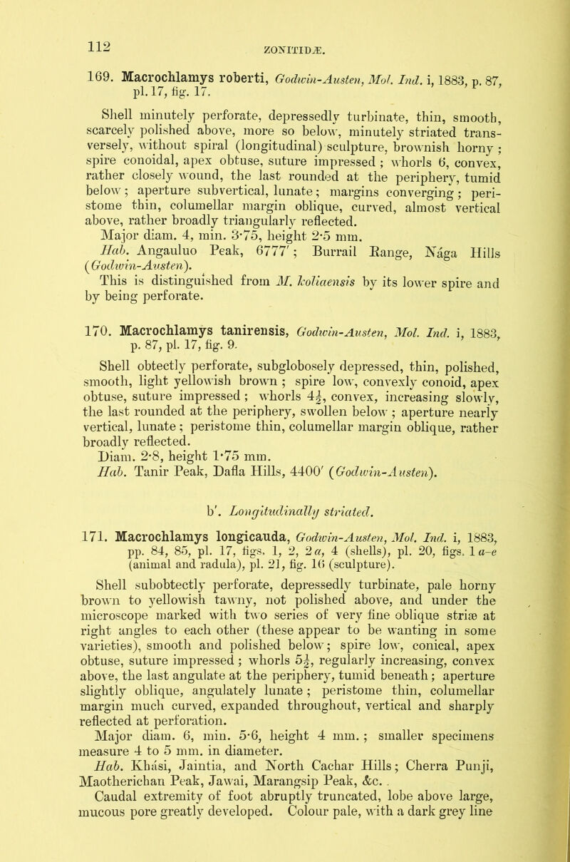 169. Macrochlamys roberti, Godwin-Austen, Mot. Ind. i, 1883, p. 87, Pl. 17, fig, 17. Shell minutely perforate, depressedly turbinate, thin, smooth, scarcely polished above, more so below, minutely striated trans- versely, without spiral (longitudinal) sculpture, brownish horny ; spire conoidal, apex obtuse, suture impressed ; whorls 6, convex, rather closely wound, the last rounded at the periphery, tumid below ; aperture subvertical, lunate; margins converging ; peri- stome thin, columellar margin oblique, curved, almost vertical above, rather broadly triangularly reflected. Major diam. 4, min. 3*75, height 2-5 mm. Hcib. Angauluo Peak, 6777'; Burrail Range, Naga Hills ( Godwin-Austen). This is distinguished from M. Jcoliaensis by its lower spire and by being perforate. 170. Macrochlamys tanirensis, Godwin-Austen, Mol. Ind. i, 1883 p. 87, pi. 17, fig. 9. Shell obtectly perforate, subglobosely depressed, thin, polished, smooth, light yellowish brown ; spire low, convexly conoid, apex obtuse, suture impressed; whorls 4|, convex, increasing slowly, the last rounded at the periphery, swollen below ; aperture nearly vertical, lunate ; peristome thin, columellar margin oblique, rather broadly reflected. Diam. 2*8, height 1*75 mm. Hob. Tanir Peak, Dafla Hills, 4400' {Godwin-Austen). b'. Longitudinally striated. 171. Macrochlamys longicauda, Godivin-Austen, Mol. Lid. i, 1883, pp. 84, 85, pi. 17, figs. 1, 2, 2 a, 4 (shells), pi. 20, figs. 1 a-e (animal and radula), pi. 21, fig. 16 (sculpture). Shell subobtectly perforate, depressedly turbinate, pale horny brown to yellowish tawny, not polished above, and under the microscope marked with two series of very fine oblique strise at right angles to each other (these appear to be wanting in some varieties), smooth and polished below; spire low, conical, apex obtuse, suture impressed; whorls 5J, regularly increasing, convex above, the last ungulate at the periphery, tumid beneath; aperture slightly oblique, angulately lunate ; peristome thin, columellar margin much curved, expanded throughout, vertical and sharply reflected at perforation. Major diam. 6, min. 5-6, height 4 mm.; smaller specimens measure 4 to 5 mm. in diameter. Hab. Kbasi, Jaintia, and North Cachar Hills; Cherra Punji, Maotherichari Peak, Jawai, Marangsip Peak, &c. . Caudal extremity of foot abruptly truncated, lobe above large, mucous pore greatly developed. Colour pale, with a dark grey line