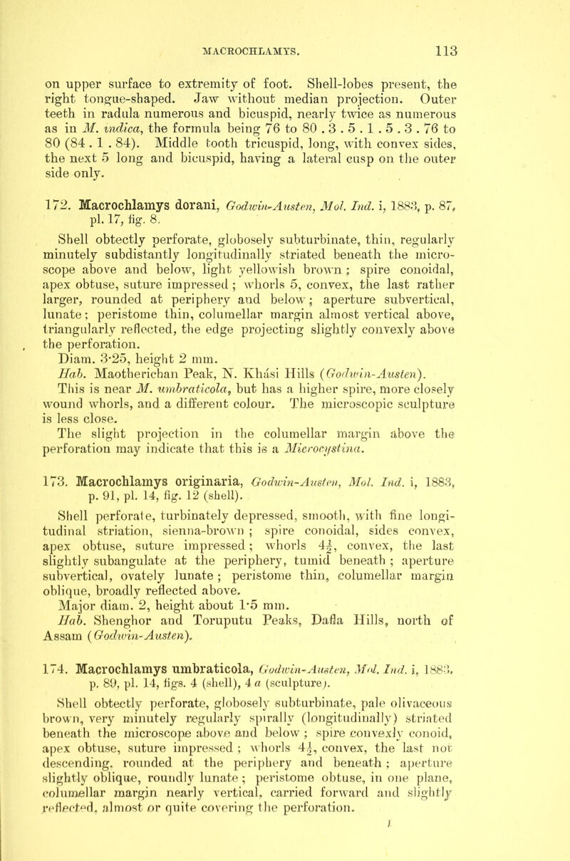 on upper surface to extremity of foot. Shell-lobes present, the right tongue-shaped. Jaw without median projection. Outer teeth in radula numerous and bicuspid, nearly twice as numerous as in M. indica, the formula being 76 to 80.3.5.1.5.3.76 to 80 (84.1 . 84). Middle tooth tricuspid, long, with convex sides, the next 5 long and bicuspid, having a lateral cusp on the outer side only. 172. Macrochlamys dorani, Godwin-Austen, Mol. Ind. i, 1883, p. 87, pi. 17, fig. 8. Shell obtectly perforate, globosely subturbinate, thin, regularly minutely subdistantly longitudinally striated beneath the micro- scope above and below, light yellowish brown ; spire conoidal, apex obtuse, suture impressed ; whorls 5, convex, the last rather larger, rounded at periphery and below; aperture subvertical, lunate; peristome thin, coluraellar margin almost vertical above, triangularly reflected, the edge projecting slightly convexly above the perforation. Diam. 3*25, height 2 mm. Hah. Maothericban Peak, N. Khasi Hills (Godwin-Austen). This is near M. umhraticolci, but has a higher spire, more closely wound whorls, and a different colour. The microscopic sculpture is less close. The slight projection in the coluraellar margin above the perforation may indicate that this is a Microcystina. 173. Macrochlamys originaria, Godwin-Austen, Mol. bid. i, 1883, p. 91, pi. 14, fig. 12 (shell). Shell perforate, turbinately depressed, smooth, with fine longi- tudinal striation, sienna-brown ; spire conoidal, sides convex, apex obtuse, suture impressed; whorls 4|, convex, the last slightly subangulate at the periphery, tumid beneath ; aperture subvertical, ovately lunate ; peristome thin, coluraellar margin oblique, broadly reflected above. Major diam. 2, height about 1*5 mm. Idah. Shenghor and Toruputu Peaks, jDafla Hills, north of Assam (Godwin-Austen). 174. Macrochlamys umbraticola, Godwin-Austen, Mol. Ind. i, 1883, p, 89, pi. 14, figs. 4 (shell), 4 a (sculpture). Shell obtectly perforate, globosely subturbinate, pale olivaceous brown, very minutely regularly spirally (longitudinally) striated beneath the microscope above and below ; spire convexly conoid, apex obtuse, suture impressed ; whorls 4|, convex, the last not descending, rounded at the periphery and beneath; aperture slightly oblique, roundly lunate ; peristome obtuse, in one plane, coluraellar margin nearly vertical, carried forward and slightly reflected, almost or quite covering the perforation. l