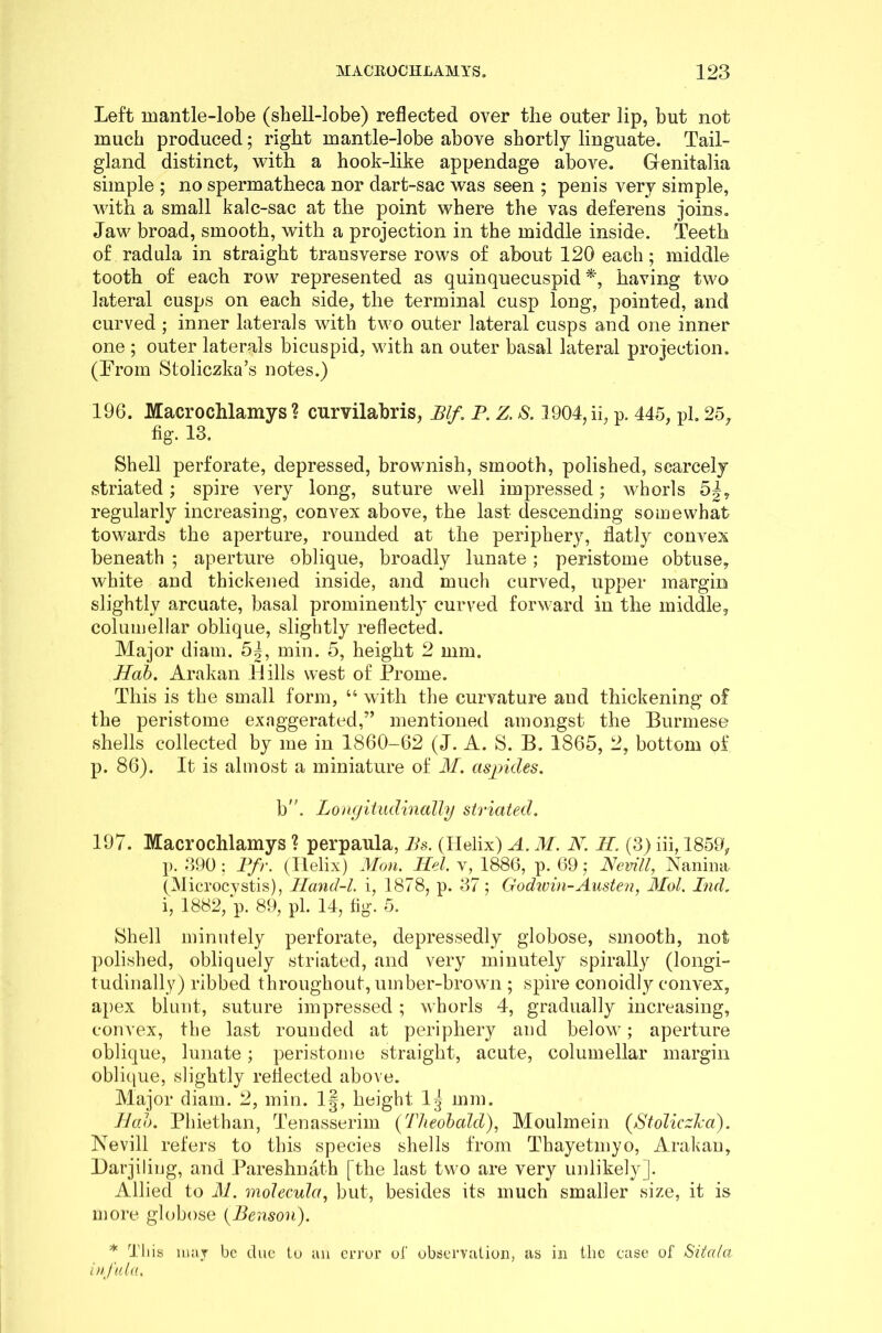 Left mantle-lobe (shell-lobe) reflected over the outer lip, but not much produced; right mantle-lobe above shortly linguate. Tail- gland distinct, with a hook-like appendage above. Genitalia simple ; no spermatheca nor dart-sac was seen ; penis very simple, with a small kalc-sac at the point where the vas deferens joins. Jaw broad, smooth, with a projection in the middle inside. Teeth of radula in straight transverse rows of about 120 each; middle tooth of each row represented as quinquecuspid *, having two lateral cusps on each side, the terminal cusp long, pointed, and curved ; inner laterals with two outer lateral cusps and one inner one ; outer laterals bicuspid, with an outer basal lateral projection. (From Stoliczka’s notes.) 196. Macrochlamys ? curvilabris, Blf. P. Z, S. 1904, ii, p. 445, pi. 25, fig. 13. Shell perforate, depressed, brownish, smooth, polished, scarcely striated; spire very long, suture well impressed; whorls 5|, regularly increasing, convex above, the last descending somewhat towards the aperture, rounded at the periphery, flatly convex beneath ; aperture oblique, broadly lunate; peristome obtuse, white and thickened inside, and much curved, upper margin slightly arcuate, basal prominently curved forward in the middle, columellar oblique, slightly reflected. Major diam. 5|, min. 5, height 2 mm. Hob. Arakan Hills west of Prome. This is the small form, “ with the curvature and thickening of the peristome exaggerated,” mentioned amongst the Burmese shells collected by me in 1860-62 (J. A. S. B. 1865, 2, bottom of p. 86). It is almost a miniature of M. aspides. b. Longitudinally striated. 197. Macrochlamys ? perpaula, Bs. (Helix) A. M. N. H. (3) iii, 1859, p. 390 ; Pfr. (Helix) Mon. lid. v, 1886, p. 69; Nevill, Nanina (Microcystis), Hand-l. i, 1878, p. 37; Godwin-Austen, Mol. Ind. i, 1882,'p. 89, pi. 14, fig. 5. Shell minutely perforate, depressedly globose, smooth, not polished, obliquely striated, and very minutely spirally (longi- tudinally) ribbed throughout, umber-brown ; spire conoidly convex, apex blunt, suture impressed; whorls 4, gradually increasing, convex, the last rounded at periphery and below; aperture oblique, lunate; peristome straight, acute, columellar margin oblique, slightly reflected above. Major diam. 2, min. 1§, height lj mm. Hal). Phiethan, Tenasserim {Theobald), Mouhnein {Stolicdea). Nevill refers to this species shells from Tbayetmyo, Arakan, Darjiling, and Pareshnath [the last two are very unlikely]. Allied to ili. molecula, but, besides its much smaller size, it is more globose {Benson). * This may be due to an error of observation, as in the case of Sitala infitla.
