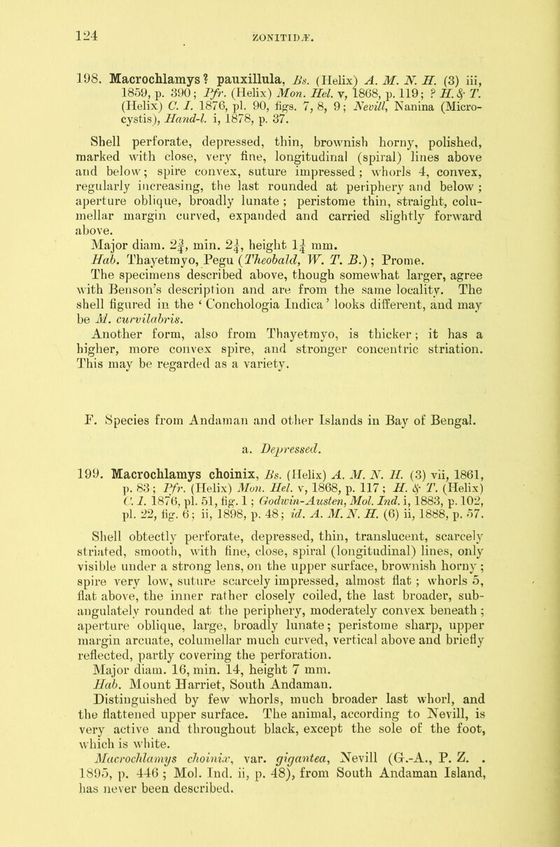 198. Macrochlamys ? pauxillula, Bs. (Helix) A. M. N. H. (3) iii, 1859, p. 390; Pfr. (Helix) Mon. Hel. v, 1868, p. 119; P II. # T. (Helix) C. I. 1876, pi. 90, figs. 7, 8, 9; Nevill, Nanina (Micro- cystis), Hcind-l. i, 1878, p. 37. Shell perforate, depressed, thin, brownish horny, polished, marked with close, very line, longitudinal (spiral) lines above and below; spire convex, suture impressed; whorls 4, convex, regularly increasing, the last rounded at periphery and below ; aperture oblique, broadly lunate ; peristome thin, straight, colu- mellar margin curved, expanded and carried slightly forward above. Major diam. 2|, min. 2|, height 1| mm. Hah. Thayetmyo, Pegu (Theobald, W. T. _5.); Prome. The specimens described above, though somewhat larger, agree with Benson’s description and are from the same locality. The shell figured in the ‘ Conchologia Indica ’ looks different, and may be M. curvilahris. Another form, also from Thayetmyo, is thicker; it has a higher, more convex spire, and stronger concentric striation. This may be regarded as a variety. F. Species from Andaman and other Islands in Bay of Bengal. a. Depressed. 199. Macrochlamys choinix, Bs. (Helix) A. M. N. II. (3) vii, 1861, p. 83; Pfr. (Helix) Mon. Hel. v, 1868, p. 117; H. $ T. (Helix) C. 1. 1876, pi. 51, fig. 1; Godwin-Austen, Mol. Hid. i, 1883, p. 102, pi. 22, fig. 6; ii, 1898, p. 48; id. A. M.N. H. (6) ii, 1888, p. 57. Shell obtectly perforate, depressed, thin, translucent, scarcel}r striated, smooth, with fine, close, spiral (longitudinal) lines, only visible under a strong lens, on the upper surface, brownish horny; spire very low, suture scarcely impressed, almost fiat ; whorls 5, flat above, the inner rather closely coiled, the last broader, sub- angulately rounded at the periphery, moderately convex beneath ; aperture oblique, large, broadly lunate; peristome sharp, upper margin arcuate, columellar much curved, vertical above and briefly reflected, partly covering the perforation. Major diam. 16, min. 14, height 7 mm. Hah. Mount Harriet, South Andaman. Distinguished by few whorls, much broader last whorl, and the flattened upper surface. The animal, according to Nevill, is very active and throughout black, except the sole of the foot, which is white. Macrochlamys choinix, var. gigantea, Nevill (Gf.-A., P. Z. . 1895, p. 446 ; Mol. Ind. ii, p. 48), from South Andaman Island, lias never been described.