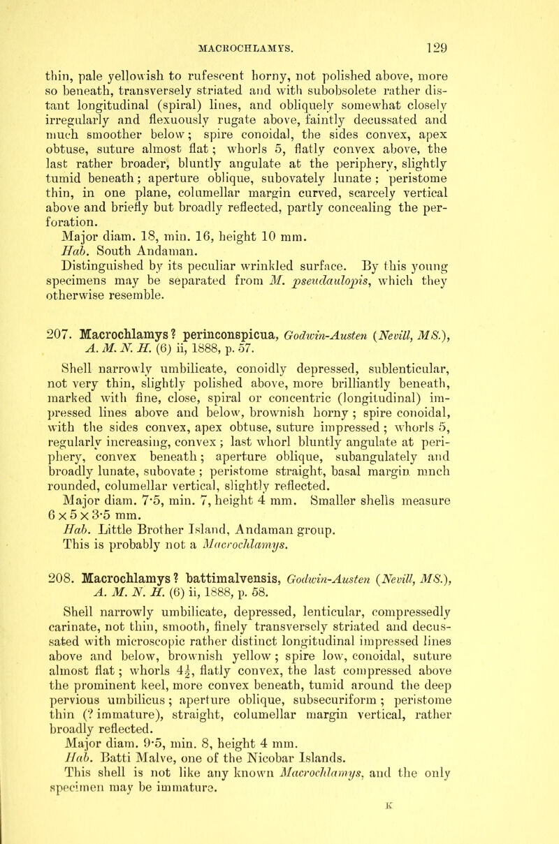 thin, pale yellowish to rufeseent horny, not polished above, more so beneath, transversely striated and with subobsolete rather dis- tant longitudinal (spiral) lines, and obliquely somewhat closely irregularly and flexuously rugate above, faintly decussated and much smoother below; spire conoidal, the sides convex, apex obtuse, suture almost flat; whorls 5, flatly convex above, the last rather broader, bluntly angulate at the periphery, slightly tumid beneath; aperture oblique, subovately lunate: peristome thin, in one plane, columellar margin curved, scarcely vertical above and briefly but broadly reflected, partly concealing the per- foration. Major diam. 18, min. 16, height 10 mm. Tied). South Andaman. Distinguished by its peculiar wrinkled surface. By this young specimens may be separated from M. pseudaulopis, which they otherwise resemble. 207. Macrochlamys ? perinconspicua, Godivin-Austen {Nevill, MS.), A. M. N. H. (6) ii, 1888, p. 57. Shell narrowly umbilicate, conoidly depressed, sublenticular, not very thin, slightly polished above, more brilliantly beneath, marked with fine, close, spiral or concentric (longitudinal) im- pressed lines above and below, brownish horny ; spire conoidal, with the sides convex, apex obtuse, suture impressed ; whorls 5, regularly increasing, convex ; last whorl bluntly angulate at peri- phery, convex beneath; aperture oblique, subangulately and broadly lunate, subovate ; peristome straight, basal margin much rounded, columellar vertical, slightly reflected. Major diam. 7*5, min. 7, height 4 mm. Smaller shells measure 6 x 5 x 3-5 mm. Hah. Little Brother Island, Andaman group. This is probably not a Macrochlamys. 208. Macrochlamys ? battimalvensis, Godivin-Austen (Nevill, MS.), A. M. N. H. (6) ii, 1888, p. 58. Shell narrowly umbilicate, depressed, lenticular, oompressedly carinate, not thin, smooth, finely transversely striated and decus- sated with microscopic rather distinct longitudinal impressed lines above and below, brownish yellow ; spire low, conoidal, suture almost flat; whorls 4|, flatly convex, the last compressed above the prominent keel, more convex beneath, tumid around the deep pervious umbilicus; aperture oblique, subsecuriform; peristome thin (? immature), straight, columellar margin vertical, rather broadly reflected. Major diam. 9*5, min. 8, height 4 mm. Hab. Batti Malve, one of the Nicobar Islands. This shell is not like any known Macrochlamys. and the only specimen may be immature. ic