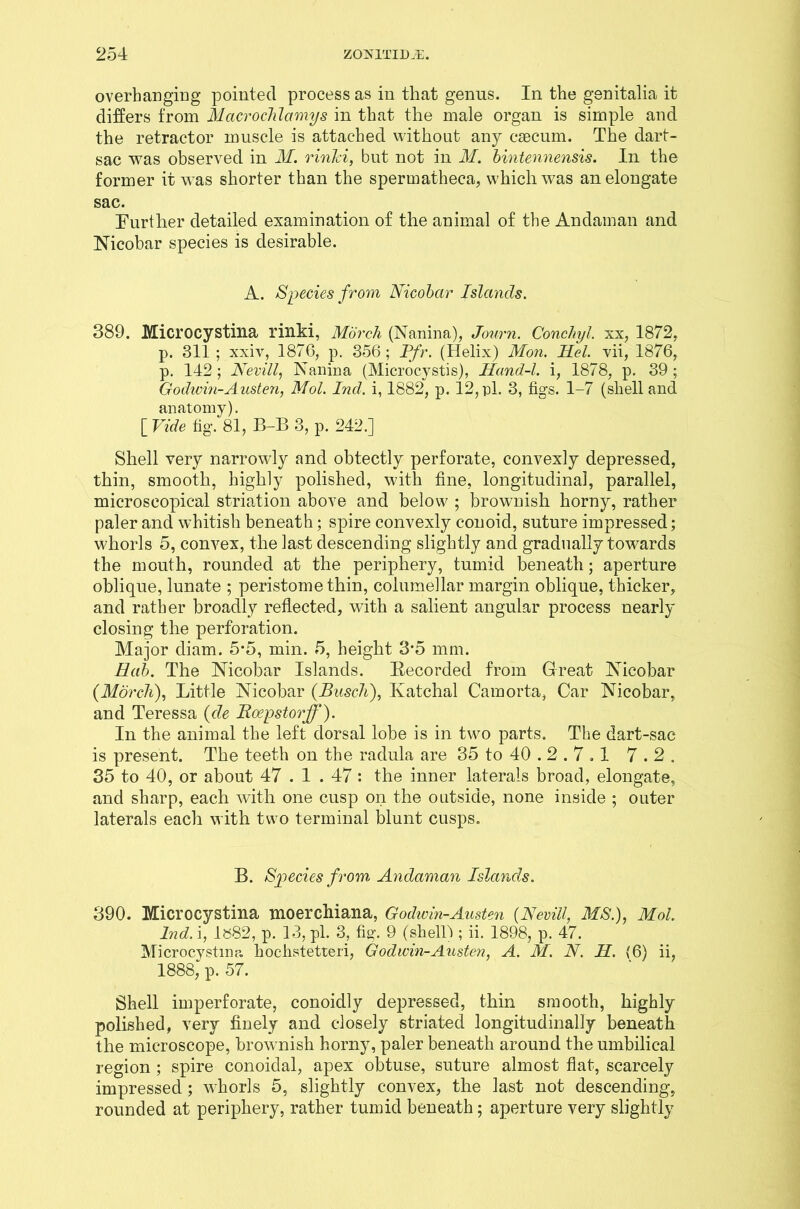 overhanging pointed process as in that genus. In the genitalia it differs from Macrochlamys in that the male organ is simple and the retractor muscle is attached without any caecum. The dart- sac was observed in M. rinki, but not in M. bintennensis. In the former it was shorter than the spermatheca, which was an elongate sac. Further detailed examination of the animal of the Andaman and Nicobar species is desirable. A. Species from Nicobar Islands. 389. Microcystina rinki, Morch (Nanina), Journ. Conchyl. xx, 1872, p. 311 ; xxiv, 1876, p. 356 ; Pfr. (Helix) Mon. Hel. vii, 1876, p. 142 ; Nevill, Nanina (Microcystis), Hand-l. i, 1878, p. 39 ; Godwin-Austeii, Mol. Ind. i, 1882, p. 12, pi. 3, figs. 1-7 (shell and anatomy). [ Vide fig. 81, B-B 3, p. 242.] Shell very narrowly and obtectly perforate, convexly depressed, thin, smooth, highly polished, with fine, longitudinal, parallel, microscopical striation above and below ; brownish horny, rather paler and whitish beneath; spire convexly conoid, suture impressed; whorls 5, convex, the last descending slightly and gradually towards the mouth, rounded at the periphery, tumid beneath; aperture oblique, lunate ; peristome thin, columellar margin oblique, thicker, and rather broadly reflected, with a salient angular process nearly closing the perforation. Major diam. 5*5, min. 5, height 3*5 mm. Eab. The Nicobar Islands. Recorded from Great Nicobar (Morch), Little Nicobar (Busch), Katchal Camorta, Car Nicobar, and Teressa (de Boepstorff). In the animal the left dorsal lobe is in two parts. The dart-sac is present. The teeth on the radula are 35 to 40.2.7 . I 7.2. 35 to 40, or about 47.1 . 47 : the inner laterals broad, elongate, and sharp, each with one cnsp on the outside, none inside ; outer laterals each with two terminal blunt cusps. B. Species from Andaman Islands. 390. Microcystina moerchiana, Godwin-Austen (Nevill, MS.), Mol lnd. i, 1»82, p. 13, pi. 3, fig. 9 (shell!; ii. 1898, p. 47. Microcystina hochstetteri, Godwin-Austen, A. M. N. H. (6) ii, 1888; p. 57. Shell imperforate, conoidly depressed, thin smooth, highly polished, very finely and closely striated longitudinally beneath the microscope, brownish horny, paler beneath around the umbilical region ; spire conoidal, apex obtuse, suture almost flat, scarcely impressed; whorls 5, slightly convex, the last not descending, rounded at periphery, rather tumid beneath; aperture very slightly