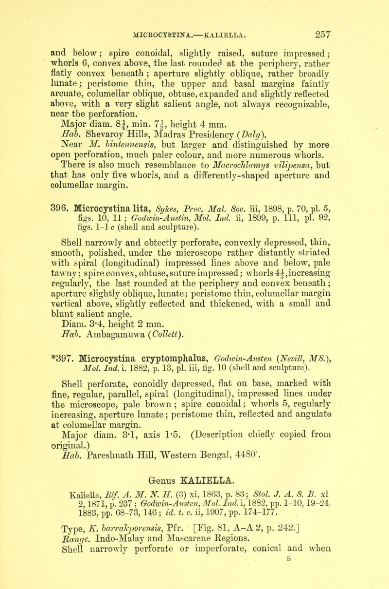 and below; spire conoidal, slightly raised, suture impressed; whorls 6, convex above, the last rounded at the periphery, rather flatly convex beneath ; aperture slightly oblique, rather broadly lunate; peristome thin, the upper and basal margins faintly arcuate, columellar oblique, obtuse, expanded and slightly reflected above, with a very slight salient angle, not always recognizable, near the perforation. Major diam. 8|, min. 7|, height 4 mm. Hab. Shevaroy Hills, Madras Presidency (Bcdy). Near M. bintennensis, but larger and distinguished by more open perforation, much paler colour, and more numerous whorls. There is also much resemblance to Macroclilamys vilipensa, but that has only five whorls, and a differently-shaped aperture and columellar margin. 396. Microcystina lita, Sykes, Proc. Mai. Soc. hi, 1898, p. 70, pi. 5, figs. 10, 11 ; Godwin-Austin, Mol. Ind. ii, 1899, p. Ill, pi. 92, figs. 1-1 c (shell and sculpture). Shell narrowly and obtectly perforate, convexly depressed, thin, smooth, polished, under the microscope rather distantly striated with spiral (longitudinal) impressed lines above and below, pale tawny; spire convex, obtuse, suture impressed; whorls 4|, in creasing regularly, the last rounded at the periphery and convex beneath; aperture slightly oblique, lunate; peristome thin, columellar margin vertical above, slightly reflected and thickened, with a small and blunt salient angle. Diam. 3*4, height 2 mm. Hob. Ambagamuwa {Collett). *397. Microcystina cryptomphalus, Godwin-Austen (Nevill, MS.), Mol. Ind, i. 1882, p. 13, pi. iii, fig. 10 (shell and sculpture). Shell perforate, conoidly depressed, flat on base, marked with fine, regular, parallel, spiral (longitudinal), impressed lines under the microscope, pale brown; spire conoidal; whorls 5, regularly increasing, aperture lunate; peristome thin, reflected and angulate at columellar margin. Major diam. 3T, axis 1*5. (Description chiefly copied from original.) Hab, Pareshnath Hill, Western Bengal, 4480'. Genus KALIELLA. Kaliella, Blf. A. M. N. II. (3) xi, 1863, p. 83; Stol. J. A. S. B. xl 2,1871, p. 237 ; Godivin-Austen, Mol. Ind. i, 1882, pp. 1-10, 19-24, 1883, pp. 68-73, 146; id. t. c. ii, 1907, pp. 174-177. Type, K. barrakporensis, Pfr. [Pig. 81, A-A2, p. 242.] Range. Indo-Malay and Mascarene Regions. Shell narrowly perforate or imperforate, conical and when s