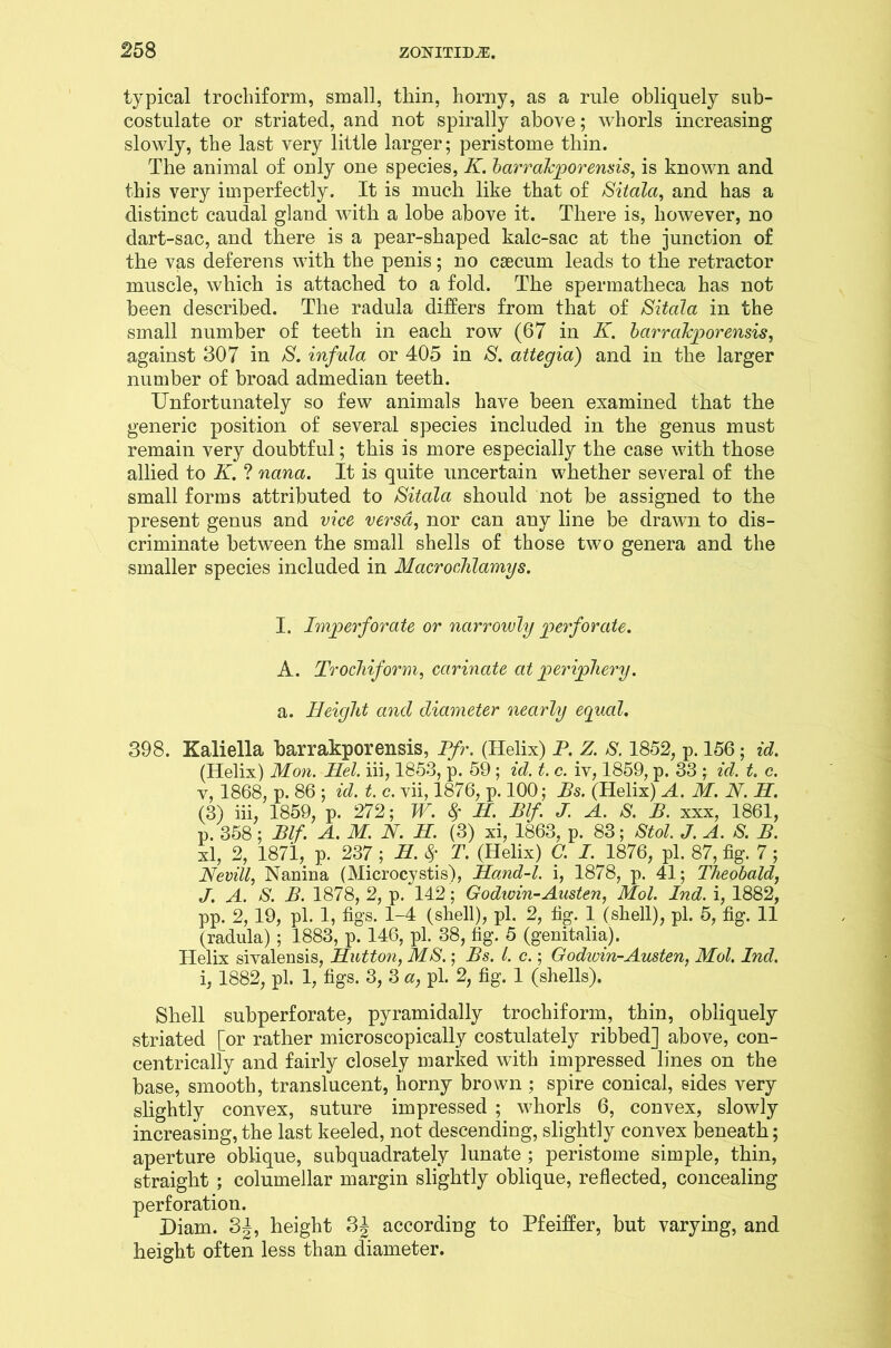 typical trochiform, small, thin, horny, as a rule obliquely sub- costulate or striated, and not spirally above; whorls increasing slowly, the last very little larger; peristome thin. The animal of only one species, K. barrakporensis, is known and this very imperfectly. It is much like that of Sitala, and has a distinct caudal gland with a lobe above it. There is, however, no dart-sac, and there is a pear-shaped kalc-sac at the junction of the vas deferens with the penis; no csecum leads to the retractor muscle, which is attached to a fold. The spermatheca has not been described. The radula differs from that of Sitala in the small number of teeth in each row (67 in K. barrakporensis, against 307 in S. infula or 405 in S. attegia) and in the larger number of broad admedian teeth. Unfortunately so few animals have been examined that the generic position of several species included in the genus must remain very doubtful; this is more especially the case with those allied to K. ? nana. It is quite uncertain whether several of the small forms attributed to Sitala should not be assigned to the present genus and vice versa, nor can any line be drawn to dis- criminate between the small shells of those two genera and the smaller species included in Macroclilamys. I. Imperforate or narrowly perforate. A. Trochiform, carinate at periphery. a. Height and diameter nearly equal. 398. Kaliella barrakporensis, Pfr. (Helix) P. Z. S. 1852, p. 156; id. (Helix) Mon. Hel. iii, 1853, p. 59 ; id. t. c. iv, 1859, p. 33 ; id. t. c. v, 1868, p. 86 ; id. t. c. vii, 1876, p. 100; Ps. (Helix) A. M. N. H. (3) iii, 1859, p. 272; W. 8f H. Blf. J. A. S. B. xxx, 1861, p. 358; Blf. A. M. N. H. (3) xi, 1863, p. 83; Stol. J. A. S. B. xl, 2, 1871, p. 237 H. Sf T. (Helix) C. I. 1876, pi. 87, fig. 7; Nevill, Nanina (Microcystis), Hand-1, i, 1878, p. 41; Theobald, J. A. S. B. 1878, 2, p. 142; Godwin-Austen, Mol. Ind. i, 1882, pp. 2, 19, pi. 1, figs. 1-4 (shell), pi. 2, fig. 1 (shell), pi. 5, fig. 11 (radula) ; 1883, p. 146, pi. 38, fig. 5 (genitalia). Helix sivalensis, Hutton, MS.; Bs. 1. c.; Godivin-Austen, Mol. Ind. i, 1882, pi. 1, figs. 3, 3 a, pi. 2, fig. 1 (shells). Shell subperforate, pyramidally trochiform, thin, obliquely striated [or rather microscopically costulately ribbed] above, con- centrically and fairly closely marked with impressed lines on the base, smooth, translucent, horny brown; spire conical, sides very slightly convex, suture impressed ; whorls 6, convex, slowly increasing, the last keeled, not descending, slightly convex beneath; aperture oblique, subquadrately lunate ; peristome simple, thin, straight ; columellar margin slightly oblique, reflected, concealing perforation. Diam. 3|, height 3J according to Pfeiffer, but varying, and height often less than diameter.