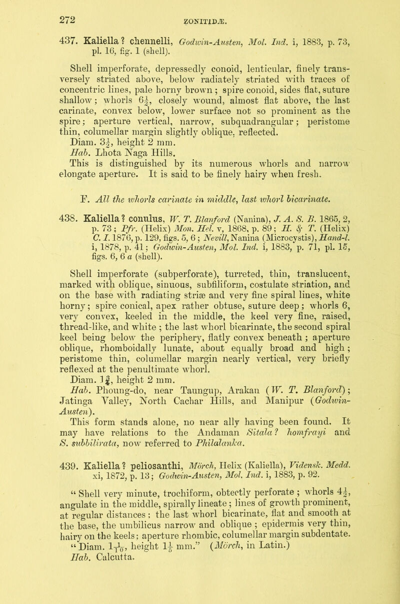 437. Kaliella? cliennelli, Godwin-Austen, Mol. Ind. i, 1883, p. 73, pi. 16, fig. 1 (shell). Shell imperforate, depressedly conoid, lenticular, finely trans- versely striated above, below radiately striated with traces of concentric lines, pale horny brown ; spire conoid, sides flat, suture shallow; whorls 6|, closely wound, almost flat above, the last carinate, convex below, lower surface not so prominent as the spire; aperture vertical, narrow, subquadrangular; peristome thin, colmnellar margin slightly oblique, reflected. Diam. 3|, height 2 mm. Hab. Lhota Naga Hills. This is distinguished by its numerous whorls and narrow elongate aperture. It is said to be finely hairy when fresh. F. All the whorls carinate in middle, last whorl bicarinate. 438. Kaliella? conulus, W. T. Blanford (Nanina), J. A. S. B. 1865, 2, p. 73; Pfr. (Helix) Mon. Hel. v, 1868, p. 89; H. $ T. (Helix) C. 1.1876, p. 129, figs. 5, 6 ; Nevill, Nanina (Microcystis), Hand-1. i, 1878, p. 41; Godwin-Austen, Mol. Ind. i, 1883, p. 71, pi. 15, figs. 6, 6 a (shell). Shell imperforate (subperforate), turreted, thin, translucent, marked with oblique, sinuous, subfiliform, costulate striation, and on the base with radiating strise and very fine spiral lines, white horny; spire conical, apex rather obtuse, suture deep; whorls 6, very convex, keeled in the middle, the keel very fine, raised, thread-like, and white ; the last whorl bicarinate, the second spiral keel being below the periphery, flatly convex beneath ; aperture oblique, rhomboidally lunate, about equally broad and high; peristome thin, columellar margin nearly vertical, very briefly reflexed at the penultimate whorl. Diam. 1 j, height 2 mm. Hab. Phoung-do, near Taungup, Arakan (IF. T. Blanford); Jatinga Valley, North Cachar Hills, and Manipur (Godwin- Austen). This form stands alone, no near ally having been found. It may have relations to the Andaman Bitala ? homfrayi and /S', subbilirata, now referred to Philalanlca. 439. Kaliella ? peliosanthi, Morch, Helix (Kaliella), Vidensk. Medd. xi, 1872, p. 13; Godwin-Austen, Mol. Ind. i, 1883, p. 92. u Shell very minute, trochiform, obtectly perforate ; whorls 4|, angulate in the middle, spirally lineate; lines of growth prominent, at regular distances; the last whorl bicarinate, flat and smooth at the base, the umbilicus narrow and oblique ; epidermis very thin, hairy on the keels; aperture rhombic, columellar margin subdentate. “ Diam. l^, height 1^ mm.” {Morch, in Latin.) Hab. Calcutta.