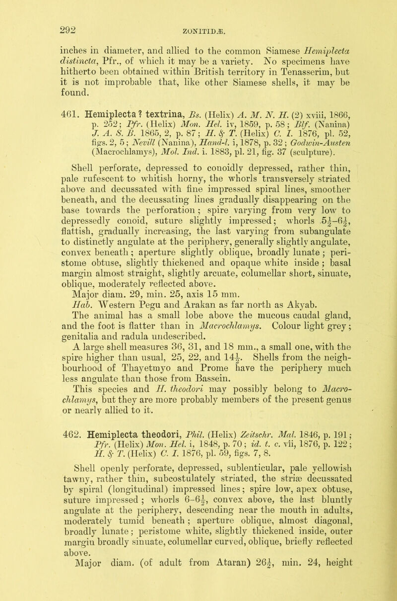 inches in diameter, and allied to the common Siamese Hemiplecta clistincta, Pfr., of which it may be a variety. No specimens have hitherto been obtained within British territory in Tenasserim, but it is not improbable that, like other Siamese shells, it may be found. 461. Hemiplecta ? textrina, Bs. (Helix) A. M. N. H. (2) xviii, 1866, p. 252; Pfr. (Helix) Mon. Mel. iv, 1859, p. 58 ; JBlf. (Nanina) J. A. S. B. 1865, 2, p. 87; M. # T. (Helix) C. I. 1876, pi. 52, figs. 2, 5 ; Nevill (Nanina), Hancl-l. i, 1878, p. 32 ; Godwin-Austen (Macroclilamys), Mol. Ind. i. 1883, pi. 21, fig. 37 (sculpture). Shell perforate, depressed to couoidlv depressed, rather thin, pale rufescent to whitish horny, the whorls transversely striated above and decussated with fine impressed spiral lines, smoother beneath, and the decussating lines gradually disappearing on the base towards the perforation ; spire varying from very low to depressedly conoid, suture slightly impressed; whorls 5^-6|, flattish, gradually increasing, the last varying from subangulate to distinctly angulate at the periphery, generally slightly angulate, convex beneath; aperture slightly oblique, broadly lunate ; peri- stome obtuse, slightly thickened and opaque white inside; basal margin almost straight, slightly arcuate, columellar short, sinuate, oblique, moderately reflected above. Major diam. 29, min. 25, axis 15 mm. Mob. Western Pegu and Arakan as far north as Akyab. The animal has a small lobe above the mucous caudal gland, and the foot is flatter than in Macroclilamys. Colour light grey; genitalia and radula undescribed. A large shell measures 36, 31, and 18 mm., a small one, with the spire higher than usual, 25, 22, and 14-1-. Shells from the neigh- bourhood of Thayetmyo and Prome have the periphery much less angulate than those from Bassein. This species and M. theoclori may possibly belong to Macro- clilamys, but they are more probably members of the present genus or nearly allied to it. 462. Hemiplecta theodori, Phil. (Helix) Zeitschr. Mai. 1846, p. 191 ; Pfr. (Helix) Mon. Mel. i, 1848, p. 70 ; id. t. c. vii, 1876, p. 122 ; M. 8f T. (Helix) C. I. 1876, pi. 59, figs. 7, 8. Shell openly perforate, depressed, sublenticular, pale yellowish tawny, rather thin, subcostulately striated, the striae decussated by spiral (longitudinal) impressed lines; spire low, apex obtuse, suture impressed ; whorls 6-64-, convex above, the last bluntly angulate at the periphery, descending near the mouth in adults, moderately tumid beneath ; aperture oblique, almost diagonal, broadly lunate; peristome white, slightly thickened inside, outer margin broadly sinuate, columellar curved, oblique, briefly reflected above. Major diam. (of adult from Ataran) 26J, min. 24, height