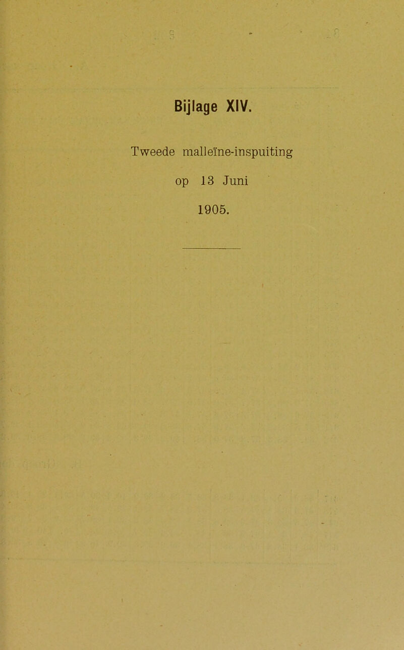 Bijlage XIV. Tweede malleïne-inspuiting op 13 Juni 1905.