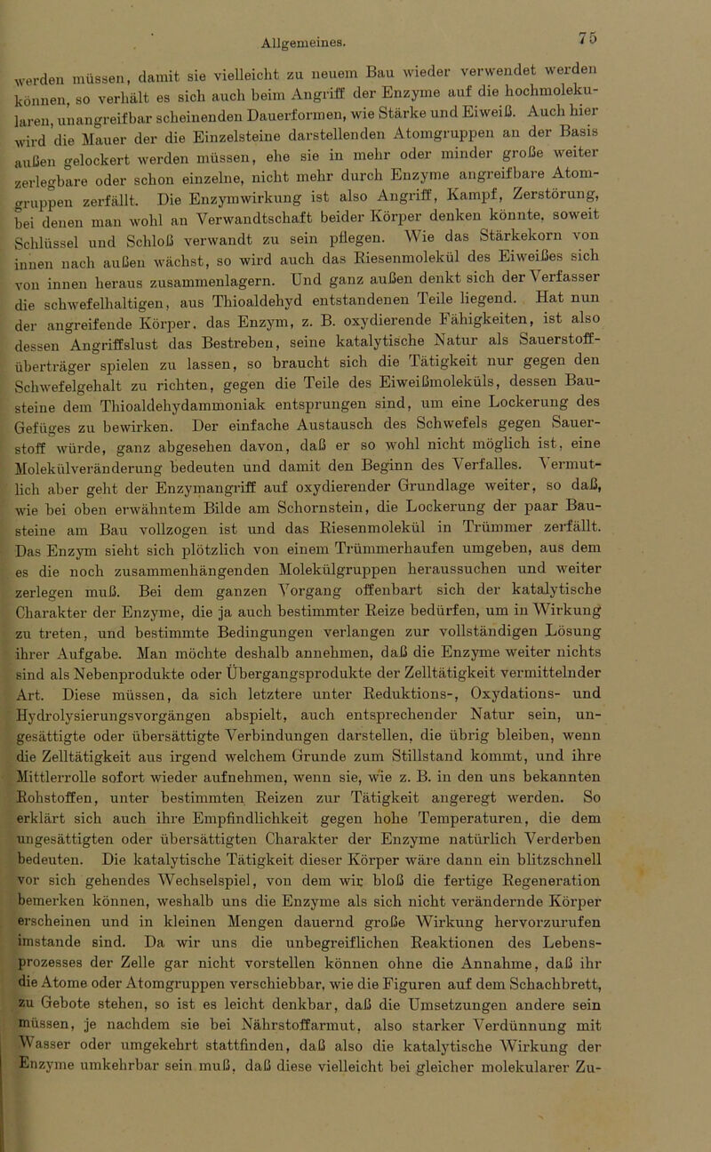 Allgemeines. 10 werden müssen, damit sie vielleicht zu neuem Bau wieder verwendet werden können, so verhält es sich auch beim Angriff der Enzyme auf die hochmoleku- laren, unangreifbar scheinenden Dauerformen, wie Stärke und Eiweiß. Auch liier wird die Mauer der die Einzelsteine darstellenden Atomgruppen an der Basis außen gelockert werden müssen, ehe sie in mehr oder minder große weiter zerlegbare oder schon einzelne, nicht mehr durch Enzyme angreifbare Atom- Gruppen zerfällt. Die Enzymwirkung ist also Angriff, Kampf, Zerstörung, bei denen man wohl an Verwandtschaft beider Körper denken könnte, soweit Schlüssel und Schloß verwandt zu sein pflegen. Wie das Stärkekorn von innen nach außen wächst, so wird auch das Biesenmolekül des Eiweißes sich von innen heraus zusammenlagern. Und ganz außen denkt sich der \ erfasser die schwefelhaltigen, aus Thioaldehyd entstandenen Teile liegend. Hat nun der angreifende Körper, das Enzym, z. B. oxydierende Fähigkeiten, ist also dessen Angriffslust das Bestreben, seine katalytische Natur als Sauerstoff- überträger spielen zu lassen, so braucht sich die Tätigkeit nur gegen den Schwefelgehalt zu richten, gegen die Teile des Eiweißmoleküls, dessen Bau- steine dem Thioaldehydammoniak entsprungen sind, um eine Lockerung des Gefüges zu bewirken. Der einfache Austausch des Schwefels gegen Sauer- stoff würde, ganz abgesehen davon, daß er so wohl nicht möglich ist, eine Molekülveränderung bedeuten und damit den Beginn des Verfalles. Vermut- lich aber geht der Enzymangriff auf oxydierender Grundlage weiter, so daß, wie bei oben erwähntem Bilde am Schornstein, die Lockerung der paar Bau- steine am Bau vollzogen ist und das Biesenmolekül in Trümmer zerfällt. Das Enzym sieht sich plötzlich von einem Trümmerhaufen umgeben, aus dem es die noch zusammenhängenden Molekülgruppen heraussuchen und weiter zerlegen muß. Bei dem ganzen Vorgang offenbart sich der katalytische Charakter der Enzyme, die ja auch bestimmter Beize bedürfen, um in Wirkung zu treten, und bestimmte Bedingungen verlangen zur vollständigen Lösung ihrer Aufgabe. Man möchte deshalb annehmen, daß die Enzyme weiter nichts sind als Nebenprodukte oder Übergangsprodukte der Zelltätigkeit vermittelnder Art. Diese müssen, da sich letztere unter Beduktions-, Oxydations- und Hydrolysierungsvorgängen abspielt, auch entsprechender Natur sein, un- gesättigte oder übersättigte Verbindungen darstellen, die übrig bleiben, wenn die Zelltätigkeit aus irgend welchem Grunde zum Stillstand kommt, und ihre Mittlerrolle sofort wieder aufnehmen, wenn sie, wie z. B. in den uns bekannten Bohstoffen, unter bestimmten Beizen zur Tätigkeit angeregt werden. So erklärt sich auch ihre Empfindlichkeit gegen hohe Temperaturen, die dem ungesättigten oder übersättigten Charakter der Enzyme natürlich Verderben bedeuten. Die katalytische Tätigkeit dieser Körper wäre dann ein blitzschnell vor sich gehendes Wechselspiel, von dem wir bloß die fertige Begeneration bemerken können, weshalb uns die Enzyme als sich nicht verändernde Köi'per erscheinen und in kleinen Mengen dauernd große Wirkung hervorzurufen imstande sind. Da wir uns die unbegreiflichen Beaktionen des Lebens- prozesses der Zelle gar nicht vorstellen können ohne die Annahme, daß ihr die Atome oder Atomgruppen verschiebbar, wie die Figuren auf dem Schachbrett, zu Gebote stehen, so ist es leicht denkbar, daß die Umsetzungen andere sein müssen, je nachdem sie bei Nährstoffarmut, also starker Verdünnung mit Wasser oder umgekehrt stattfinden, daß also die katalytische Wirkung der Enzyme umkehrbar sein muß, daß diese vielleicht bei gleicher molekularer Zu-