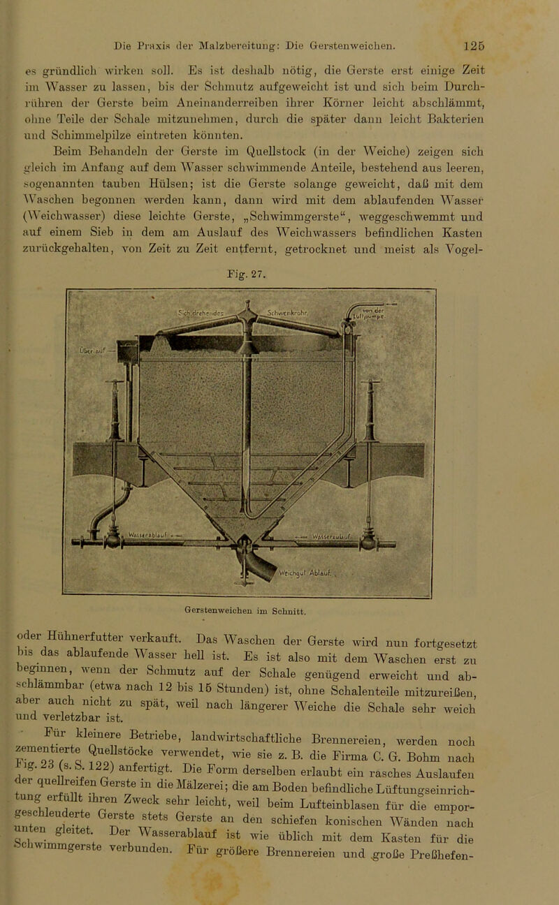es gründlich wirken soll. Es ist deshalb nötig, die Gerste erst einige Zeit im Wasser zu lassen, bis der Schmutz aufgeweicht ist und sich beim Durch- rüliren der Gerste beim Aneinanderreiben ihrer Körner leicht abschlämmt, ohne Teile der Schale mitzunehmen, durch die später dann leicht Bakterien und Schimmelpilze eintreten könnten. Beim Behandeln der Gerste im Quellstock (in der Weiche) zeigen sich gleich im Anfang auf dem Wasser schwimmende Anteile, bestehend aus leeren, sogenannten tauben Hülsen; ist die Gerste solange geweicht, daß mit dem Waschen begonnen werden kann, dann wird mit dem ablaufenden Wasser (Weichwasser) diese leichte Gerste, „Schwimmgerste“, weggeschwemmt und auf einem Sieb in dem am Auslauf des Weichwassers befindlichen Kasten zurückgehalten, von Zeit zu Zeit entfernt, getrocknet und meist als Vogel- Fig. 27. Gerstenweichen im Schnitt. oder Hühnerfutter verkauft. Das Waschen der Gerste wird nun fortgesetzt bis das ablaufende Wasser hell ist. Es ist also mit dem Waschen erst zu legmnen, venu der Schmutz auf der Schale genügend erweicht und ab- schlammbar (etwa nach 12 bis 15 Stunden) ist, ohne Schalenteile mitzureißen, aber auch nicht zu spät, weil nach längerer Weiche die Schale sehr weich und verletzbar ist. Für kleinere Betriebe, landwirtschaftliche Brennereien, werden noch zementierte Quellstöcke verwendet, wie sie z. B. die Firma C. G. Bohm nach *V 1(.8- l2*) anferti?t 1)1(3 Form derselben erlaubt ein rasches Auslaufen ei quellreifen Gerste m die Mälzerei; die am Boden befindliche Lüftungseinrich- ung erfüllt ihren Zweck sehr leicht, weil beim Lufteinblasen für die empor- geschleuderte Gerste stets Gerste an den schiefen konischen Wänden nach ten gleitet Der Wasserablauf ist wie üblich mit dem Kasten für die wimmgers e verbunden. Für größere Brennereien und .große Preßhefen-
