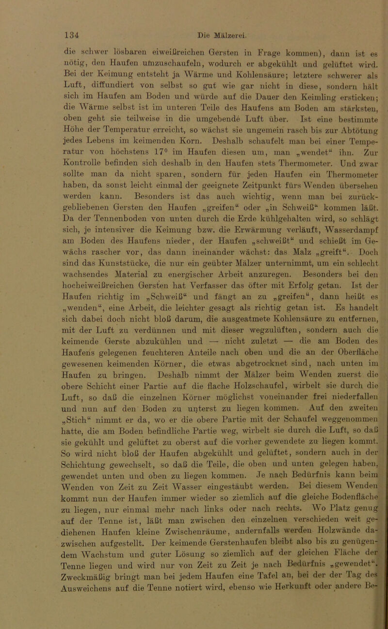 die schwer lösbaren eiweißreichen Gersten in Frage kommen), dann ist es nötig, den Haufen ulnzuschaufeln, wodurch er abgekühlt und gelüftet wird. Bei der Keimung entsteht ja Wärme und Kohlensäure; letztere schwerer als Luft, diffundiert von selbst so gut wie gar nicht in diese, sondern hält sich im Haufen am Boden und würde auf die Dauer den Keimling ersticken; die Wärme selbst ist im unteren Teile des Haufens am Boden am stärksten, oben geht sie teilweise in die umgebende Luft über. Ist eine bestimmte Höhe der Temperatur erreicht, so wächst sie ungemein rasch bis zur Abtötuug jedes Lebens im keimenden Korn. Deshalb schaufelt man bei einer Tempe- ratur von höchstens 17° im Haufen diesen um, man „wendet“ ihn. Zur Kontrolle befinden sich deshalb in den Haufen stets Thermometer. Und zwar sollte man da nicht sparen, sondern für jeden Haufen ein Thermometer haben, da sonst leicht einmal der geeignete Zeitpunkt fürs Wenden übersehen werden kann. Besonders ist das auch wichtig, wenn man bei zurück- gebliebenen Gersten den Haufen „greifen“ oder „in Schweiß“ kommen läßt. Da der Tennenboden von unten durch die Erde kühlgehalten wird, so schlägt sich, je intensiver die Keimung bzw. die Erwärmung verläuft, Wasserdampf am Boden des Haufens nieder, der Haufen „schweißt“ und schießt im Ge- wächs rascher vor, das dann ineinander wächst: das Malz „greift“. Doch sind das Kunststücke, die nur ein geübter Mälzer unternimmt, um ein schlecht wachsendes Material zu energischer Arbeit anzuregen. Besonders bei den hocheiweißreichen Gersten hat Verfasser das öfter mit Erfolg getan. Ist der Haufen richtig im „Schweiß“ und fängt an zu „greifen“, dann heißt es „wenden“, eine Arbeit, die leichter gesagt als richtig getan ist. Es handelt sich dabei doch nicht bloß darum, die ausgeatmete Kohlensäure zu entfernen, mit der Luft zu verdünnen und mit dieser wegzulüften, sondern auch die keimende Gerste abzukühlen und — nicht zuletzt — die am Boden des Haufens gelegenen feuchteren Anteile nach oben und die an der Oberfläche gewesenen keimenden Körner, die etwas abgetrocknet sind, nach unten im Haufen zu bringen. Deshalb nimmt der Mälzer beim Wenden zuerst die obere Schicht einer Partie auf die flache Holzschaufel, wirbelt sie durch die Luft, so daß die einzelnen Körner möglichst voneinander frei niederfallen und nun auf den Boden zu unterst zu liegen kommen. Auf den zweiten „Stich“ nimmt er da, wo er die obere Partie mit der Schaufel weggenommeu hatte, die am Boden befindliche Partie weg, wirbelt sie durch die Luft, so daß sie gekühlt und gelüftet zu oberst auf die vorher gewendete zu liegen kommt. So wird nicht bloß der Haufen abgekühlt und gelüftet, sondern auch in der Schichtung gewechselt, so daß die Teile, die oben und unten gelegen haben, gewendet unten und oben zu liegen kommen. Je nach Bedürfnis kann beim Wenden von Zeit zu Zeit Wasser eingestäubt werden. Bei diesem Wenden kommt nun der Haufen immer wieder so ziemlich auf die gleiche Bodenfläche zu liegen, nur einmal mehr nach links oder nach rechts. Wo Platz genug auf der Tenne ist, läßt man zwischen den einzelnen verschieden weit ge- diehenen Haufen kleine Zwischenräume, andernfalls werden Holzwände da- zwischen aufgestellt. Der keimende Gerstenhaufen bleibt also bis zu genügen- dem Wachstum und guter Lösung so ziemlich auf der gleichen Fläche der Tenne liegen und wird nur von Zeit zu Zeit je nach Bedürfnis „gewendet“. Zweckmäßig bringt man bei jedem Haufen eine Tafel an, bei der der Tag des Ausweichens auf die Tenne notiert wird, ebenso wie Herkunft oder andere Be-