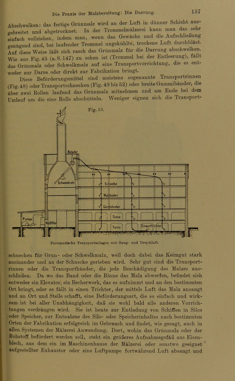 Abschwelken: das fertige Grünmalz wird an der Luft in dünner Schicht aus- gebreitet und abgetrocknet. In der Trommelmälzerei kann man das sehr einfach vollziehen, indem man, wenn das Gewächs und die Auf Schließung genügend sind, bei laufender Trommel ungekühlte, trockene Luft durchblast. Auf diese Weise läßt sich rasch das Grünmalz für die Darrung abschwelken. Wie aus Fig.45 (a.S. 147) zu sehen ist (Trommel bei der Entleerung), fällt das Grünmalz oder Schwelkmalz auf eine Transportvorrichtung, die es ent- weder zur Darre oder direkt zur Fabrikation bringt. Diese Beförderungsmittel sind meistens sogenannte Transportrinnen (Fig.48) oder Transportschnecken (Fig. 49 bis 52) oder breite Gummibänder, die über zwei Rollen laufend das Grünmalz mitnehmen und am Ende bei dem Umlauf um die eine Rolle abschütteln. Weniger eignen sich die Transport- schnecken für Grün- oder Schwelkmalz, weil doch dabei das Keimgut stark aneinander und an der Schnecke gerieben wird. Sehr gut sind die Transport- rinnen oder die Transportbänder, die jede Beschädigung des Malzes aus- schließen. Da wo das Band oder die Rinne das Malz abwerfen, befindet sich entweder ein Elevator, ein Becherwerk, das es auf nimmt und an den bestimmten Ort bringt, oder es fällt in einen Trichter, der mittels Luft das Malz ansaugt und an Ort und Stelle schafft, eine Beförderungsart, die so einfach und wirk- sam ist bei aller Unabhängigkeit, daß sie wohl bald alle anderen Vorrich- tungen verdrängen wird. Sie ist heute zur Entladung von Schiffen in Silos oder Speicher, zur Entnahme des Silo- oder Speicherinhaltes nach bestimmten Orten der Fabrikation erfolgreich im Gebrauch und findet, wie gesagt, auch in allen Systemen der Mälzerei Anwendung. Dort, wohin das Grünmalz oder der Rohstoff befördert werden soll, steht ein größeres Aufnahmegefäß aus Eisen- blech, aus dem ein im Maschinenhause der Mälzerei oder sonstwo geeignet aufgestellter Exhaustor oder eine Luftpumpe fortwährend Luft absaugt und