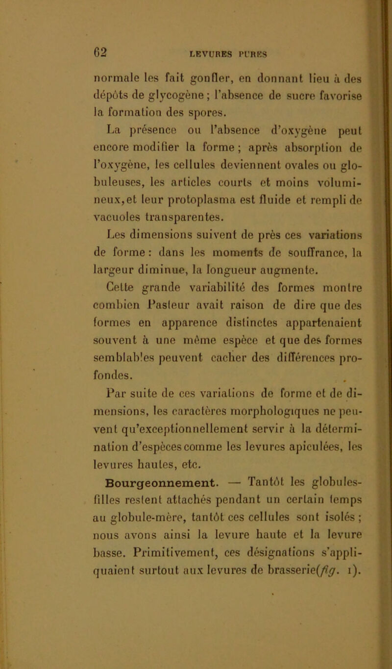 G2 normale les fait gonfler, en donnant lieu à des dépôts de glycogène ; l’absence de sucre favorise la formation des spores. La présence ou l’absence d’oxygène peut encore modifier la forme; après absorption de l’oxygène, les cellules deviennent ovales ou glo- buleuses, les articles courts et moins volumi- neux, et leur protoplasma est fluide et rempli de vacuoles transparentes. Les dimensions suivent de près ces variations de forme : dans les moments de souffrance, la largeur diminue, la longueur augmente. Cette grande variabilité des formes montre combien Pasleur avait raison de dire que des formes en apparence distinctes appartenaient souvent à une même espèce et que des formes semblables peuvent cacher des différences pro- fondes. Par suite de ces variations de forme et de di- mensions, les caractères morphologiques ne peu- vent qu’exeeptionnellement servir à la détermi- nation d’espèces comme les levures apiculées, les levures hautes, etc. Bourgeonnement. — Tan têt les globules- filles restent attachés pendant un certain temps au globule-mère, tantôt ces cellules sont isolés ; nous avons ainsi la levure haute et la levure basse. Primitivement, ces désignations s’appli- quaient surtout aux levures de brasserie(/ty. i).