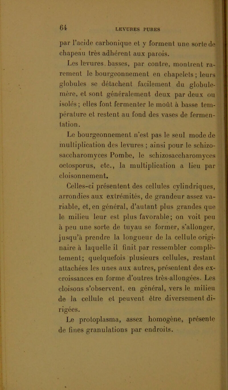 par l'acide carbonique et y forment une sorte de chapeau très adhérent aux parois. Les levures, basses, par contre, montrent ra- rement le bourgeonnement en chapelets ; leurs globules se détachent facilement du globule- mère, et sont généralement deux par deux ou isolés; elles font fermenter le moût à basse tem- pérature et restent au fond des vases de fermen- tation. Le bourgeonnement n'est pas le seul mode de multiplication des levures ; ainsi pour le schizo- saccharomyces Pombe, le schizosaccharomyces oclosporus, etc., la multiplication a lieu par cloisonnement. Celles-ci présentent des cellules cylindriques, arrondies aux extrémités, de grandeur assez va- riable, et, en général, d’autant plus grandes que le milieu leur est plus favorable; on voit peu à peu une sorte de tuyau se former, s’allonger, jusqu’à prendre la longueur de la cellule origi- naire à laquelle il finit par ressembler complè- tement; quelquefois plusieurs cellules, restant attachées les unes aux autres, présentent des ex- croissances en forme d’outres très-allongées. Les cloisons s’observent, en général, vers le milieu de la cellule et peuvent être diversement di- rigées. Le protoplasma, assez homogène, présente de fines granulations par endroits.