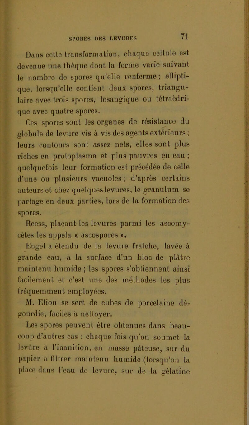 Dans cette transformation, chaque cellule est devenue une thèque dont la forme varie suivant le nombre de spores qu’elle renferme ; ellipti- que, lorsqu’elle contient deux spores, triangu- laire avec trois spores, losangique ou tétraédri- que avec quatre spores. Ces spores sont les organes de résistance du globule de levure vis à vis des agents extérieurs ; leurs contours sont assez nets, elles sont plus riches en protoplasma et plus pauvres en eau ; quelquefois leur formation est précédée de celle d’une ou plusieurs vacuoles; d’après certains auteurs et chez quelques levures, le granulum se partage en deux parties, lors de la formation des spores. Reess, plaçant les levures parmi les ascomy- cètes les appela « ascospores ». Engel a étendu de la levure fraîche, lavée à grande eau, à la surface d’un bloc de plâtre maintenu humide ; les spores s’obtiennent ainsi facilement et c’est une des méthodes les plus fréquemment employées. M. Elion se sert de cubes de porcelaine dé- gourdie, faciles à nettoyer. Les spores peuvent être obtenues dans beau- coup d’autres eus : chaque fois qu’on soumet la levure à l’inanition, en masse pâteuse, sur du papier à filtrer maintenu humide (lorsqu’on la place dans l’eau de levure, sur de la gélatine