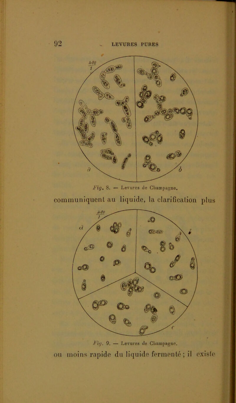 communiquent au liquide, la clarification plus Fùj. 9. — Levures tle Champagne. ou moins rapide du liquide fermenté ; il existe