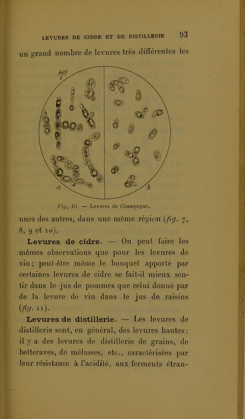 un grand nombre de levures très différentes les unes des autres, dans une môme région (fig. 7, 8, 9 et 10). Levures de cidre. — On peut faire les mêmes observations que pour les levures de vin ; peut-être même le bouquet apporté par certaines levures de cidre se fait-il mieux sen- tir dans le jus de pommes que celui donné par de la levure de vin dans le jus de raisins (fig. 11). Levures de distillerie. — Les levures de distillerie sont, en général, des levures hautes; il y a des levures de distillerie de grains, de betteraves, de mélasses, etc., caractérisées par leur résistance à l’acidité, aux ferments étran-