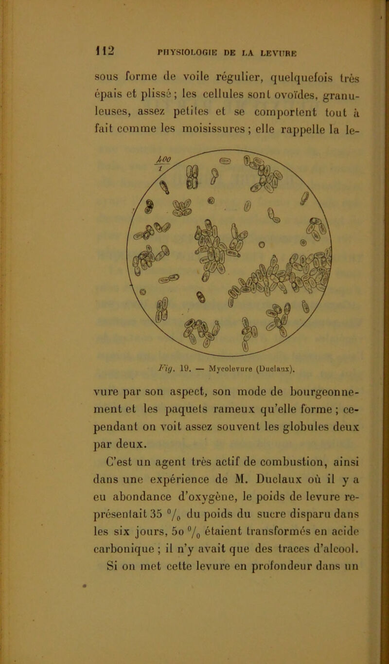 \ !2 sous forme de voile régulier, quelquefois très épais et plissé; les cellules sont ovoïdes, granu- leuses, assez petiles et se comportent tout à fait comme les moisissures; elle rappelle la le- vure par son aspect, son mode de bourgeonne- ment et les paquets rameux qu’elle forme ; ce- pendant on voit assez souvent les globules deux par deux. C’est un agent très actif de combustion, ainsi dans une expérience de M. Duclaux où il y a eu abondance d’oxygène, le poids de levure re- présentait 35 °/0 du poids du sucre disparu dans les six jours, 5o °/0 étaient transformés en acide carbonique; il n’y avait que des traces d’alcool. Si on met cette levure en profondeur dans un