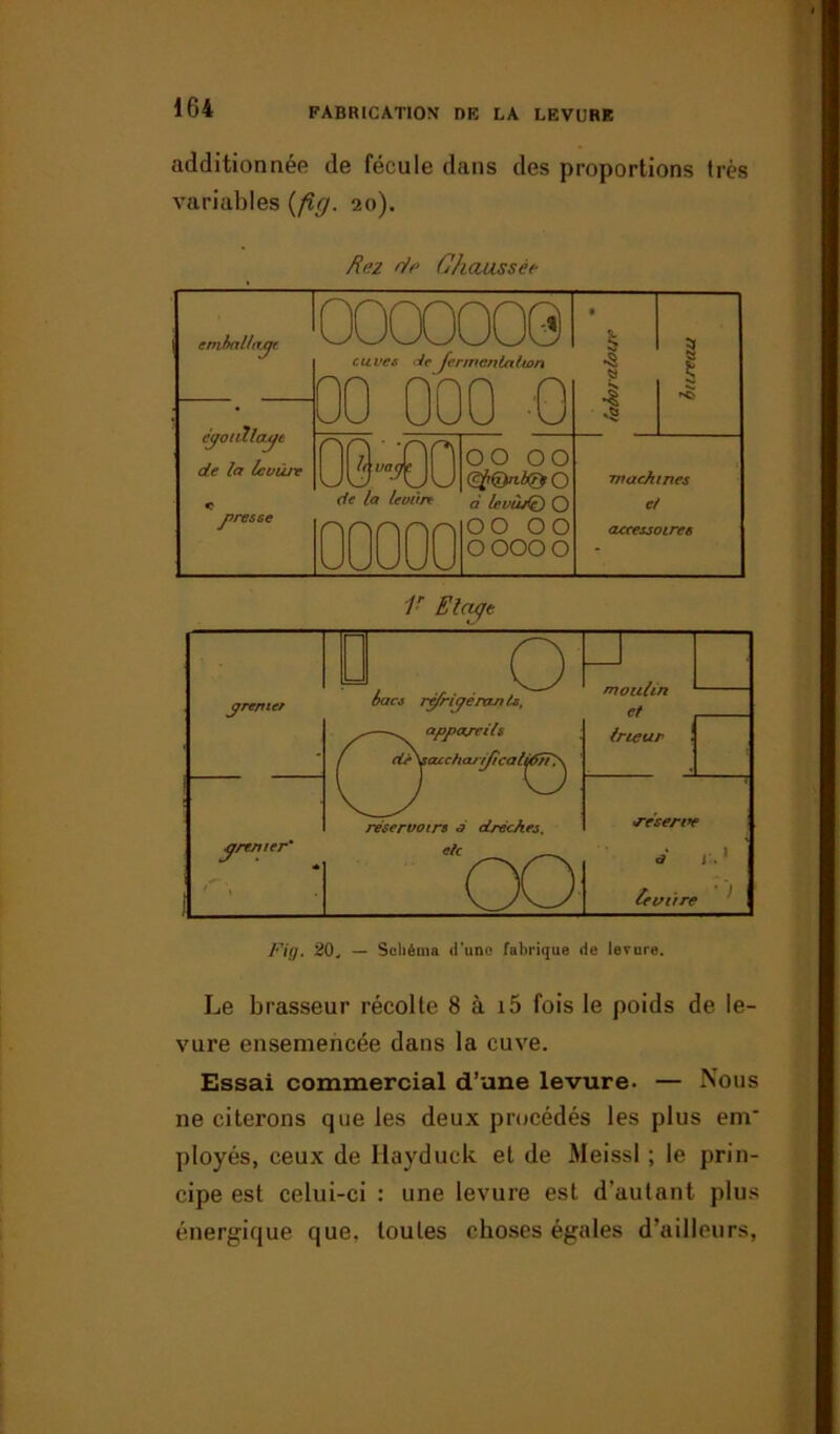 additionnée de fécule dans des proportions très variables {fit7. 20). Rez rie Chaussée OO cyoïtllaye de la Icuùj-e yres se 00000001 cuves deJermenialwn 00 000 0 0 1 | *0 00-^00 de la le vitre 00000 00 00 O à levùj<(} O OO OO OOOOO ;machines et accessoires 1r Elcuje Le brasseur récolte 8 à i5 fois le poids de le- vure ensemencée dans la cuve. Essai commercial d’une levure. — Nous ne citerons que les deux procédés les plus enr ployés, ceux de Hayduck et de Meissl ; le prin- cipe est celui-ci : une levure est d'autant plus énergique que. toutes choses égales d’ailleurs,