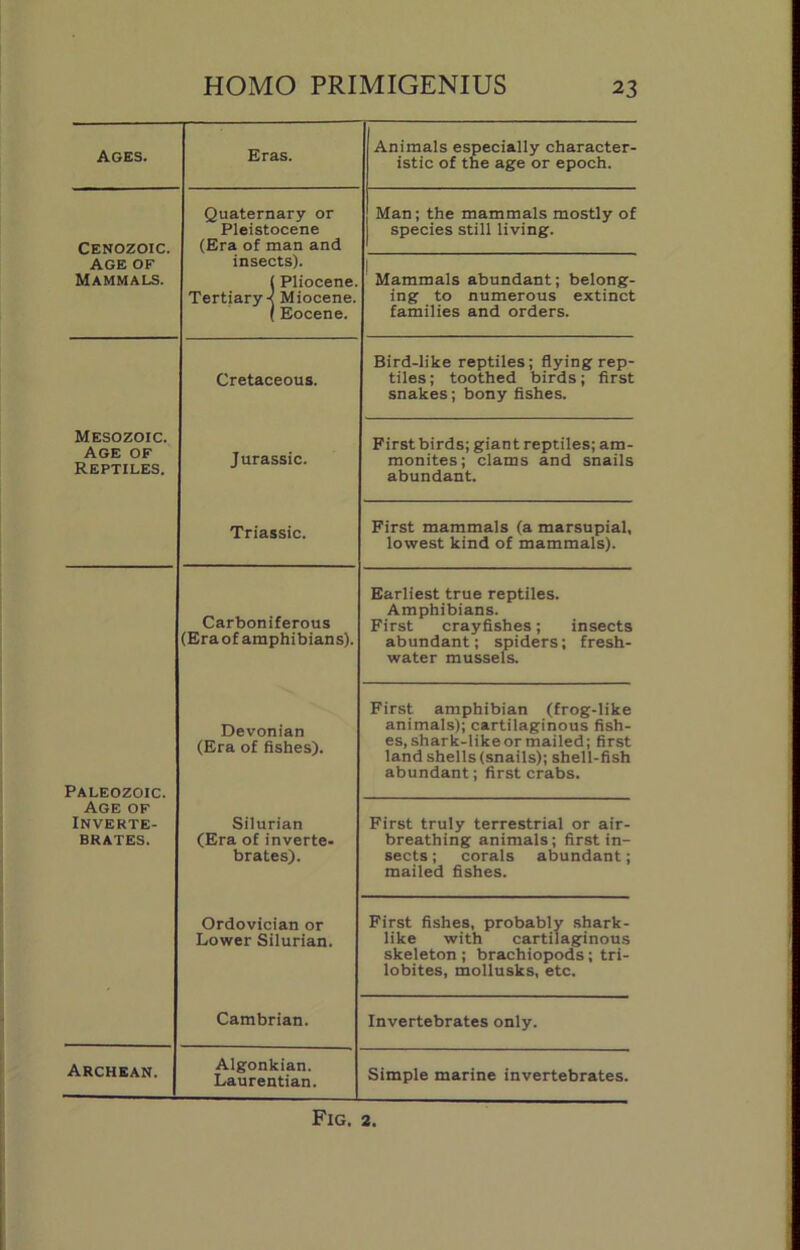 Ages. Eras. Animals especially character- istic of the age or epoch. Cenozoic. Quaternary or Pleistocene (Era of man and insects). t Pliocene. Tertiary-! Miocene. (Eocene. Man; the mammals mostly of species still living. AGE OF Mammals. Mammals abundant; belong- ing to numerous extinct families and orders. Cretaceous. Bird-like reptiles; flying rep- tiles ; toothed birds; first snakes; bony fishes. Mesozoic. Age of Reptiles. Jurassic. First birds; giant reptiles; am- monites; clams and snails abundant. Triassic. First mammals (a marsupial, lowest kind of mammals). Carboniferous (Eraof amphibians). Earliest true reptiles. Amphibians. First crayfishes; insects abundant; spiders; fresh- water mussels. Paleozoic. Devonian (Era of fishes). First amphibian (frog-like animals); cartilaginous fish- es, shark-like or mailed; first land shells (snails); shell-fish abundant; first crabs. Age of Inverte- brates. Silurian (Era of inverte. brates). First truly terrestrial or air- breathing animals; first in- sects ; corals abundant; mailed fishes. Ordovician or Lower Silurian. First fishes, probably shark- like with cartilaginous skeleton ; brachiopods; tri- lobites, mollusks, etc. Cambrian. Invertebrates only. Archban. Algonkian. Laurentian. Simple marine invertebrates. Fig. 2.