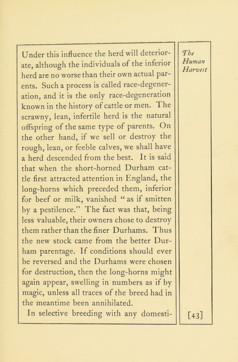 Under this influence the herd will deterior- ate, although the individuals of the inferior herd are no worse than their own actual par- ents. Such a process is called race-degener- ation, and it is the only race-degeneration known in the history of cattle or men. The scrawny, lean, infertile herd is the natural offspring of the same type of parents. On the other hand, if we sell or destroy the rough, lean, or feeble calves, we shall have a herd descended from the best. It is said that when the short-horned Durham cat- tle first attracted attention in England, the long-horns which preceded them, inferior for beef or milk, vanished “ as if smitten by a pestilence.” The fact was that, being less valuable, their owners chose to destroy them rather than the finer Durhams. Thus the new stock came from the better Dur- ham parentage. If conditions should ever be reversed and the Durhams were chosen for destruction, then the long-horns might again appear, swelling in numbers as if by magic, unless all traces of the breed had in the meantime been annihilated. In selective breeding with any domesti- The Human Harvest [43]