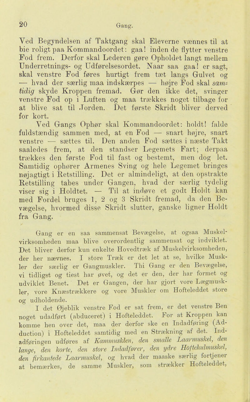 Ved Begyndelsen af Taktgang skal Eleverne vænnes til at bie roligt paa Kommandoordet: gaa! inden de flytter venstre Fod frem. Derfor skal Lederen gøre Opholdet langt mellem Underretnings- og Udførelsesordet. Naar saa gaa! er sagt, skal venstre Fod føres hurtigt frem tæt langs Gulvet og — hvad der særlig maa indskærpes — højre Fod skal sawz: tidig skyde Kroppen fremad. Gør den ikke det, svinger venstre Fod op i Luften og maa trækkes noget tilbage for at blive sat til Jorden. Det første Skridt bliver derved for kort. Ved Gangs Ophør skal Kommandoordet: holdt! falde fuldstændig sammen med, at en Fod — snart højre, snart venstre ■— sættes til. Den anden Fod sættes i næste Takt saaledes frem, at den standser Legemets Fart; derpaa trækkes den første Fod til fast og bestemt, men dog let. Samtidig ophører Armenes Sving og hele Legemet bringes nøjagtigt i Ketstilling. Det er almindeligt, at den opstrakte Ketstilling tabes under Gangen, hvad der særlig tydelig viser sig i Holdtet. — Til at indøve et godt Holdt kan med Fordel bruges 1, 2 og 3 Skridt fremad, da den Be- vægelse, hvormed disse Skridt slutter, ganske ligner Holdt fra Gang. > Gaug er en saa sammensat Bevægelse, at ogsaa Muskel- virksomheden maa blive overordentlig sammensat og indviklet. Det bliver derfor kun enkelte Hovedtræk af Muskelvirksomheden, der her nævnes. I store Træk er det let at se, hvilke Musk- ler der særlig er Gangmuskler. Thi Gang er den Bevægelse, vi tidligst og tiest har øvet, og det er den, der har formet og udviklet Benet. Det er Gangen, der har gjort vore Lægmusk- ler, vore Knæstrækkere og vore Muskler om Hofteleddet store og udholdende. I det Øjeblik venstre Fod er sat frem, er det venstre Ben noget udadført (abduceret) i Hofteleddet. For at Kroppen kan komme hen over det, maa der derfor ske en Indadføring (Ad- duction) i Hofteleddet samtidig med en Strækning af det. Ind- adføringen udføres af Kammusklen, den smalle Laarmuskel, den lange, den korte, den store Indadfører, den ydre Hoftelmlmuskel, den firkantede Laarmuskel, og hvad der maaske særlig fortjener at bemærkes, de samme Muskler, som strækker Hofteleddet,