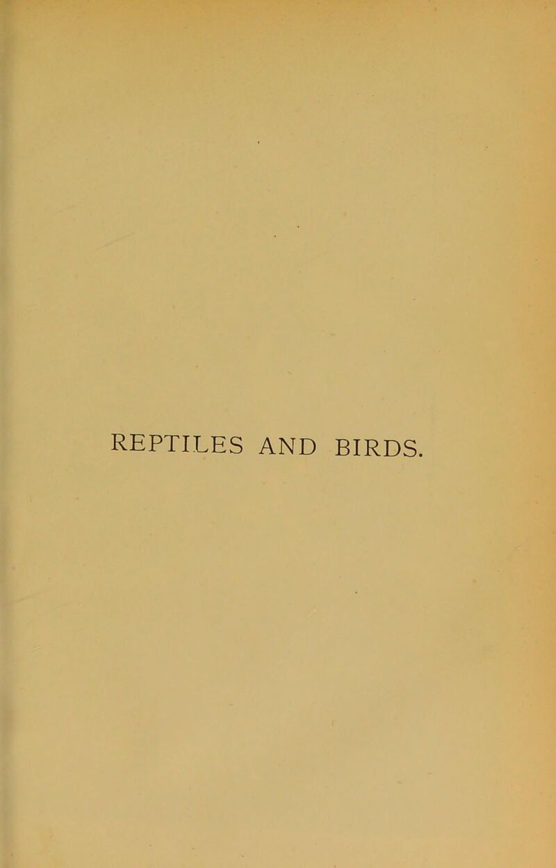 REPTILES AND BIRDS.