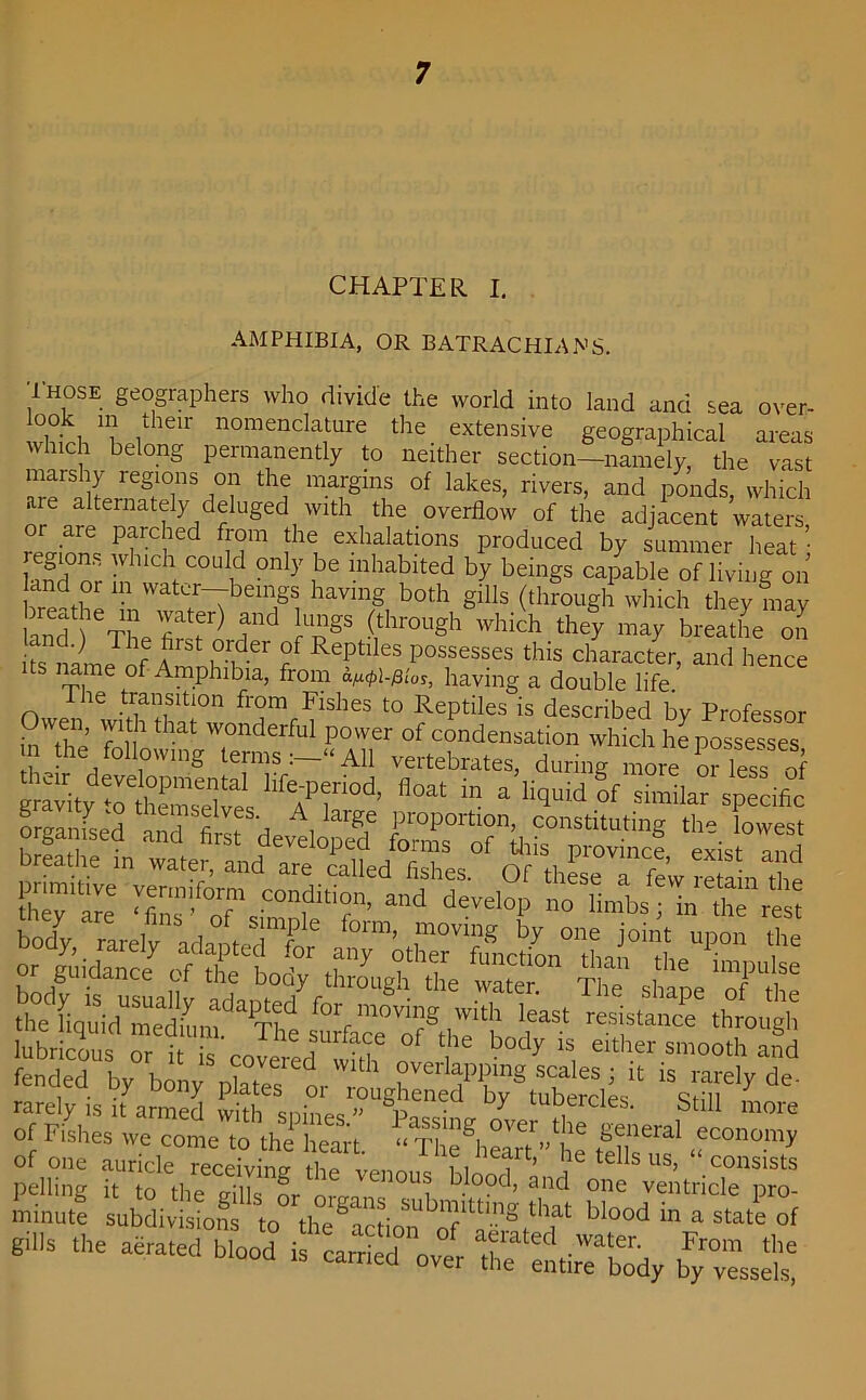 CHAPTER I. AMPHIBIA, OR BATRACHIANS. Those geographers who divide the world into land and <ea over- whirl/hl1611' n°menda,tUre the. extensive geographical areas which belong permanently to neither section—namely, the vast marshy regions on the margins of lakes, rivers, and ponds, which aie alternately deluged with the overflow of the adjacent waters or are parched from the exhalations produced by summer heat • land*or h d ^ ,be inhabited by beings capable of living on and or in water—beings having both gills (through which they may and 1GThe fiatrr) 1? ?hr0Ugh which the7 may breathe on Th® !irst °rder °f Reptiles possesses this character, and hence ame of Amphibia, from a^i-Aw, having a double life. Owen'whh fr°m bishes to Reptiles is described by Professor Jwen, with that wonderful power of condensation which he possesses m the following termsAll vertebrates, during more S less of gravity h APf °d’ 0at in a ]i<ll,id oC specific organised Jr ttirkncJ o/ffbody fended by bony Pta1rXSS^.3£5i,,t Vm'* ^ rarely is it armed with cnh-^c ” % • y LUD,eicles- still more of Fishes we col tfthfSt. ST*' S*™?* of one auricle receiving ti-m f i , ’ be tells us, “consists pelling it to ,he elknr 0“! bIood’ and °e ventricle pro- minute subdivisions to thegactionU blood in a state of gibs the aerated b.ood is caS” 1 ^2^ b^ssl