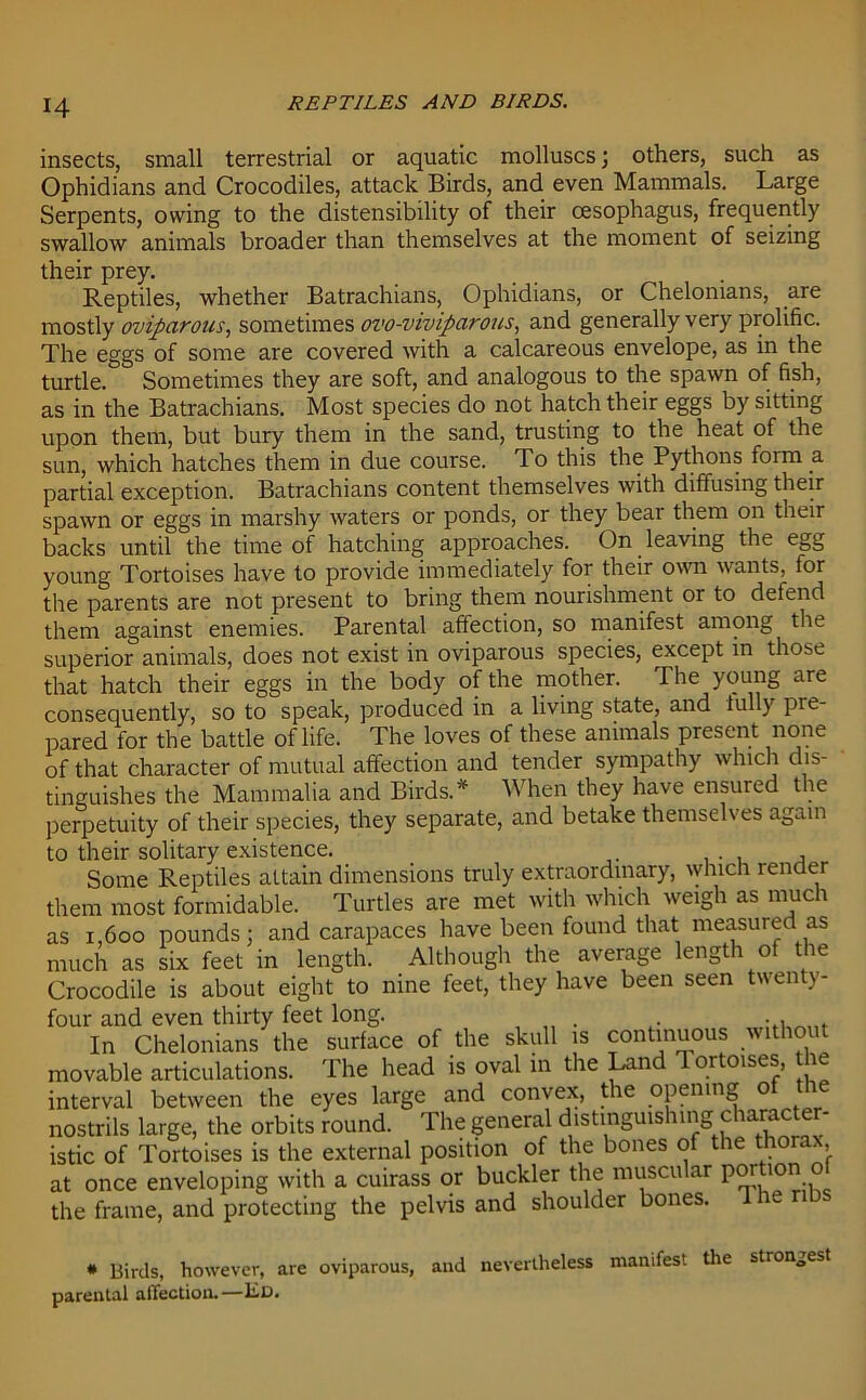 insects, small terrestrial or aquatic molluscs; others, such as Ophidians and Crocodiles, attack Birds, and even Mammals. Large Serpents, owing to the distensibility of their cesophagus, frequently swallow animals broader than themselves at the moment of seizing their prey. Reptiles, whether Batrachians, Ophidians, or Chelonians, are mostly oviparous, sometimes ovo-viviparous, and generally very prolific. The eggs of some are covered with a calcareous envelope, as in the turtle. Sometimes they are soft, and analogous to the spawn of fish, as in the Batrachians. Most species do not hatch their eggs by sitting upon them, but bury them in the sand, trusting to the heat of the sun, which hatches them in due course. To this the Pythons form a partial exception. Batrachians content themselves with diffusing their spawn or eggs in marshy waters or ponds, or they bear them on their backs until the time of hatching approaches. On leaving the egg young Tortoises have to provide immediately for their own wants, for the parents are not present to bring them nourishment or to defend them against enemies. Parental affection, so manifest among the superior animals, does not exist in oviparous species, except in those that hatch their eggs in the body of the mother. The young are consequently, so to speak, produced in a living state, and fully pre- pared for the battle of life. The loves of these animals present none of that character of mutual affection and tender sympathy which dis- tinguishes the Mammalia and Birds.* When they have ensured the perpetuity of their species, they separate, and betake themselves again to their solitary existence. Some Reptiles attain dimensions truly extraordinary, which render them most formidable. Turtles are met with which weigh as much as i 600 pounds: and carapaces have been found that measured as much as six feet in length. Although the average length of the Crocodile is about eight to nine feet, they have been seen twenty- four and even thirty feet long. . . . , . In Chelonians the surface of the skull is continuous without movable articulations. The head is oval in the Land 1 ortoises, the interval between the eyes large and convex, the opening of the nostrils large, the orbits round. The general distinguishing character- istic of Tortoises is the external position of the bones of the thorax, at once enveloping with a cuirass or buckler the muscu ar poi ion the frame, and protecting the pelvis and shoulder bones. I he * Birds, however, are oviparous, and nevertheless manifest the stron0est parental affection.—Ed.