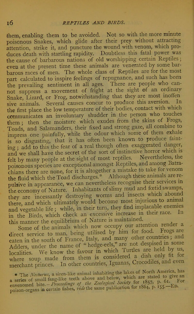 them, enabling them to be avoided. Not so with the more minute poisonous Snakes, which glide after their prey without attracting attention, strike it, and puncture the wound with venom, which pro- duces death with startling rapidity. Doubtless this fatal power was the cause of barbarous nations of old worshipping certain Reptiles; even at the present time these animals are venerated by some bar- barous races of men. The whole class of Reptiles aie for the most part calculated to inspire feelings of repugnance, and such has been the prevailing sentiment in all ages. There are people who can- not suppress a movement of fright at the sight ot an ordinary Snake, Lizard, or Frog, notwithstanding that they are most inoffen sive animals. Several causes concur to produce this aversion. In the first place the low temperature of their bodies, contact with which communicates an involuntary shudder in the person who touches them ; then the moisture which exudes from the skins of Frogs, Toads, and Salamanders, their fixed and strong gaze, all combine to impress one painfully, while the odour which some of them exhale is so disgusting, that it has often been known to produce faint- ing : add to this the fear of a real though often exaggerated danger, and we shall have the secret of the sort of instinctive horror which is felt by many people at the sight of most reptiles. Nevertheless, the poisonous species are exceptional amongst Reptiles, and among Batra- chians there are none, for it is altogether a mistake to take for venom the fluid which the Toad discharges. * Although these animals are re- nuisivp ir> annparance. we can nevertheless recognise their seivices in