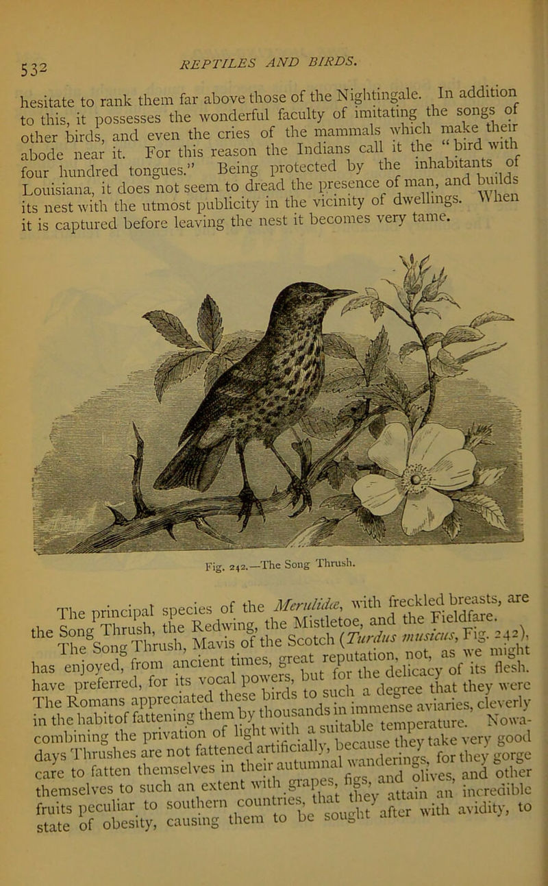 hesitate to rank them far above those of the Nightingale. In additio to this, it possesses the wonderful faculty of imitating the songs o other birds, and even the cries of the mammals which make their abode near it. For this reason the Indians cal it the bird with four hundred tongues.” Being protected by the inhabitants of Louisiana, it does not seem to dread the presence of man, and builds its nest with the utmost publicity in the vicinity of dwellings. W hen it is captured before leaving the nest it becomes very tame. Fig. 242.—The Song Thrush. •ESe&SSS&SSfe care to 'fatten themselves in S themselves to such an exten .5 1 P, ’ , ’ ttajn an incredible cau^tCr^thto with avUity, to