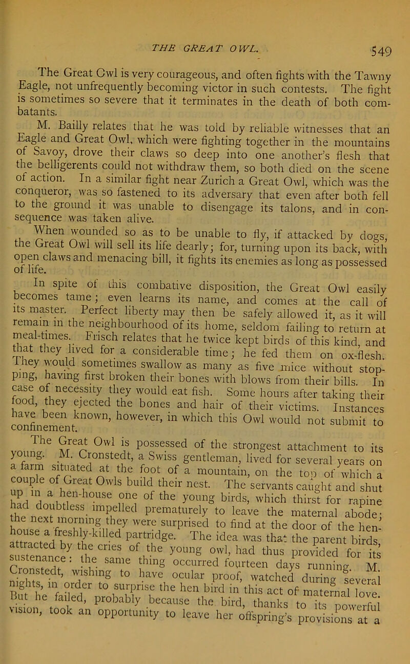 THE GREAT OWL. The Great Cvvl is very courageous, and often fights with the Tawny Eagle, not unfrequently becoming victor in such contests. The fight is sometimes so severe that it terminates in the death of both com- batants. M. Baifly relates that he was told by reliable witnesses that an Eagle and Great Owl, which were fighting together in the mountains of Savoy, drove their claws so deep into one another’s flesh that the belligerents could not withdraw them, so both died on the scene ol action. In a similar fight near Zurich a Great Owl, which was the conqueror, was so fastened to its adversary that even after both fell to the ground it was unable to disengage its talons, and in con- sequence was taken alive. When wounded so as to be unable to fly, if attacked by dogs the Great Owl will sell its life dearly; for, turning upon its back, with OP-1- and menacing bill, it fights its enemies as long as possessed In spite ot Lhis combative disposition, the Great Owl easily becomes tame; even learns its name, and comes at the call of its master. Perfect liberty may then be safely allowed it, as it will remain in the neighbourhood of its home, seldom failing to return at meal-times Frisch relates that he twice kept birds of this kind, and that they lived for a considerable time; he fed them on ox-flesh 1 hey would sometimes swallow as many as five mice without stop- ping, having first broken their bones with blows from their bills In case of necessity they would eat fish. Some hours after taking their ood, they ejected the bones and hair of their victims. Instances confinemen(.in°W'n’ ll0wever’ in which this Owl would not submit to The Great Owl is possessed of the strongest attachment to its young. M. Cronstedt, a Swiss gentleman, lived for several years on a farm situated at the foot of a mountain, on the too of which a UP iie a hf T dc thueir nest The servants caught and shut 1 ,hff h°USe °ncT of the y°imS birds, which thirst for rapine had doubtless impelled prematurely to leave the maternal abode- housed 'he°wtl]ru n7 were,surPrised t0 find at the door of the hen- house a freshly-killed partridge. The idea was that the parent birds attraCted by the cnes of the young 0wl> had thus prov^eT for its sustenance: the same thing occurred fourteen days running M Wi1Shmg t0 haVC ocular Proof> watched during Several Bu he faiireder nrohn ^ hcn !mx} ,in this act of maternal love! out ne tailed, probably because the bird thanks tn Pc r i v,,U,, took an opportunity to leave her'o^ngV.LvLioTlfa