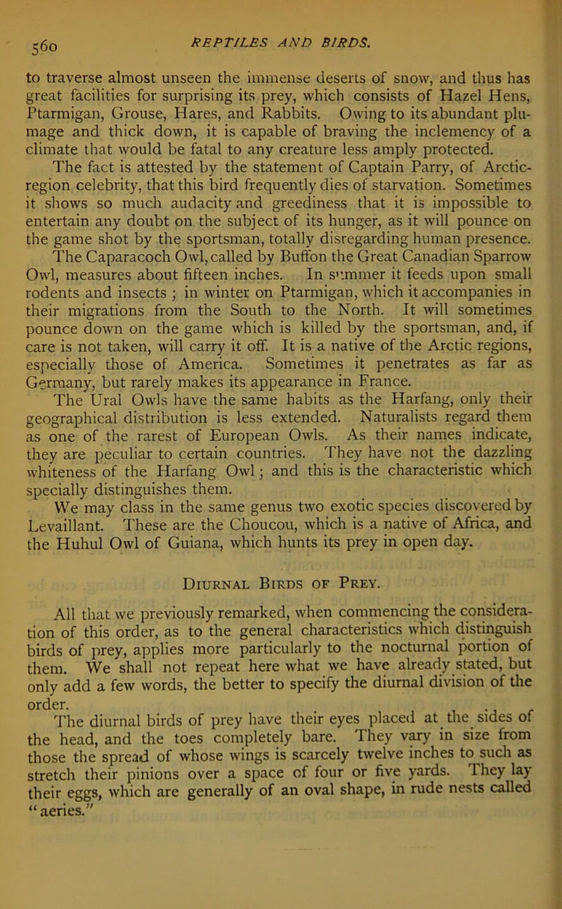 to traverse almost unseen the immense deserts of snow, and thus has great facilities for surprising its prey, which consists of Hazel Hens, Ptarmigan, Grouse, Hares, and Rabbits. Owing to its abundant plu- mage and thick down, it is capable of braving the inclemency of a climate that would be fatal to any creature less amply protected. The fact is attested by the statement of Captain Parry, of Arctic- region celebrity, that this bird frequently dies of starvation. Sometimes it shows so much audacity and greediness that it is impossible to entertain any doubt on the subject of its hunger, as it will pounce on the game shot by the sportsman, totally disregarding human presence. The Caparacoch Owl, called by BufFon the Great Canadian Sparrow Owl, measures about fifteen inches. In summer it feeds upon small rodents and insects ; in winter on Ptarmigan, which it accompanies in their migrations from the South to the North. It will sometimes pounce down on the game which is killed by the sportsman, and, if care is not taken, will carry it off. It is a native of the Arctic regions, especially those of America. Sometimes it penetrates as far as Germany, but rarely makes its appearance in France. The Ural Owls have the same habits as the Harfang, only their geographical distribution is less extended. Naturalists regard them as one of the rarest of European Owls. As their names indicate, they are peculiar to certain countries. They have not the dazzling whiteness of the Harfang Owl; and this is the characteristic which specially distinguishes them. We may class in the same genus two exotic species discovered by Levaillant. These are the Choucou, which is a native of Africa, and the Huhul Owl of Guiana, which hunts its prey in open day. Diurnal Birds of Prey. All that we previously remarked, when commencing the considera- tion of this order, as to the general characteristics which distinguish birds of prey, applies more particularly to the nocturnal portion of them. We shall not repeat here what we have already stated, but only add a few words, the better to specify the diurnal division of the order. The diurnal birds of prey have their eyes placed at the. sides of the head, and the toes completely bare. They vary in size from those the spread of whose wings is scarcely twelve inches to such as stretch their pinions over a space of four or five yards. They lay their eggs, which are generally of an oval shape, in rude nests called “ aeries.”